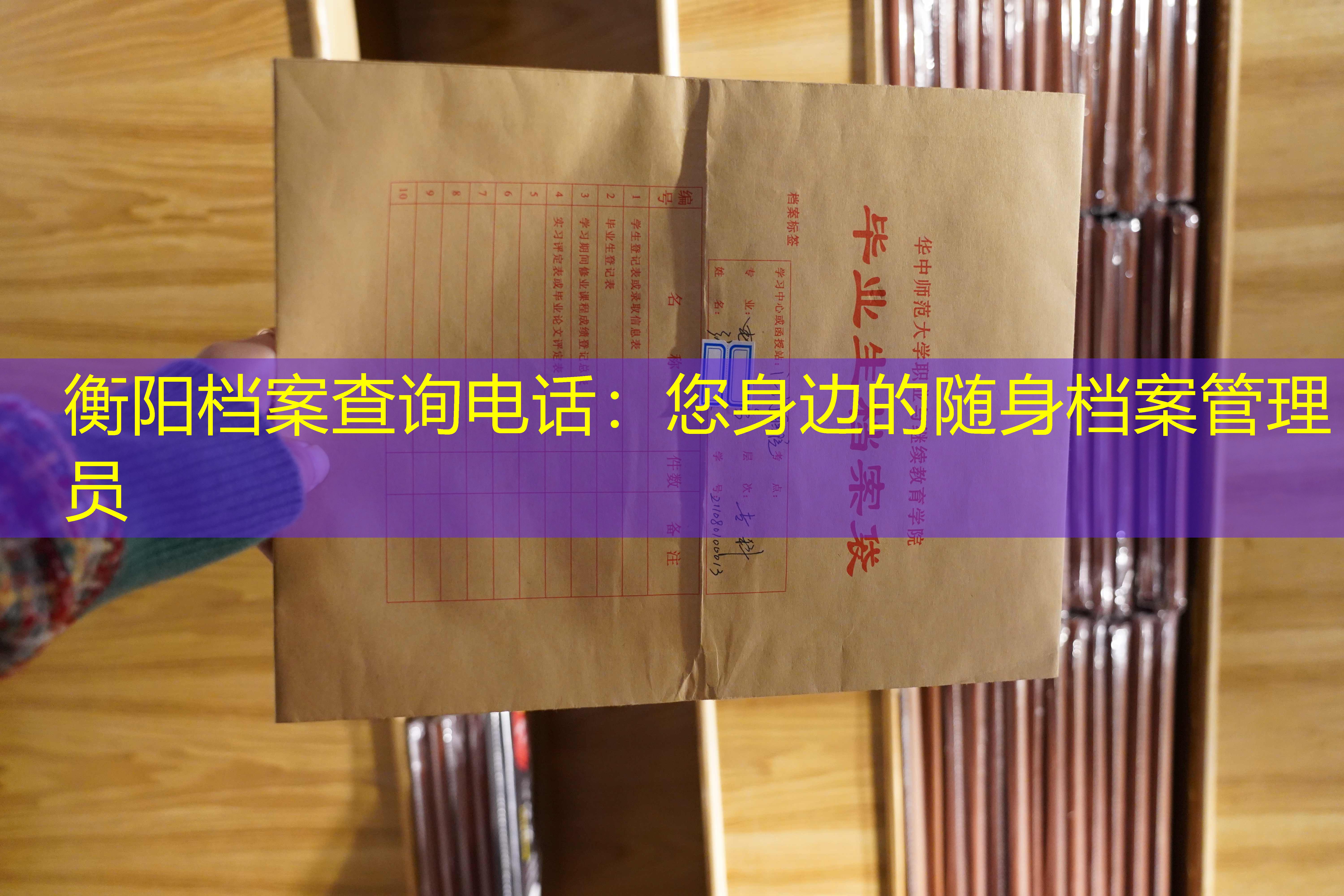 档案查询