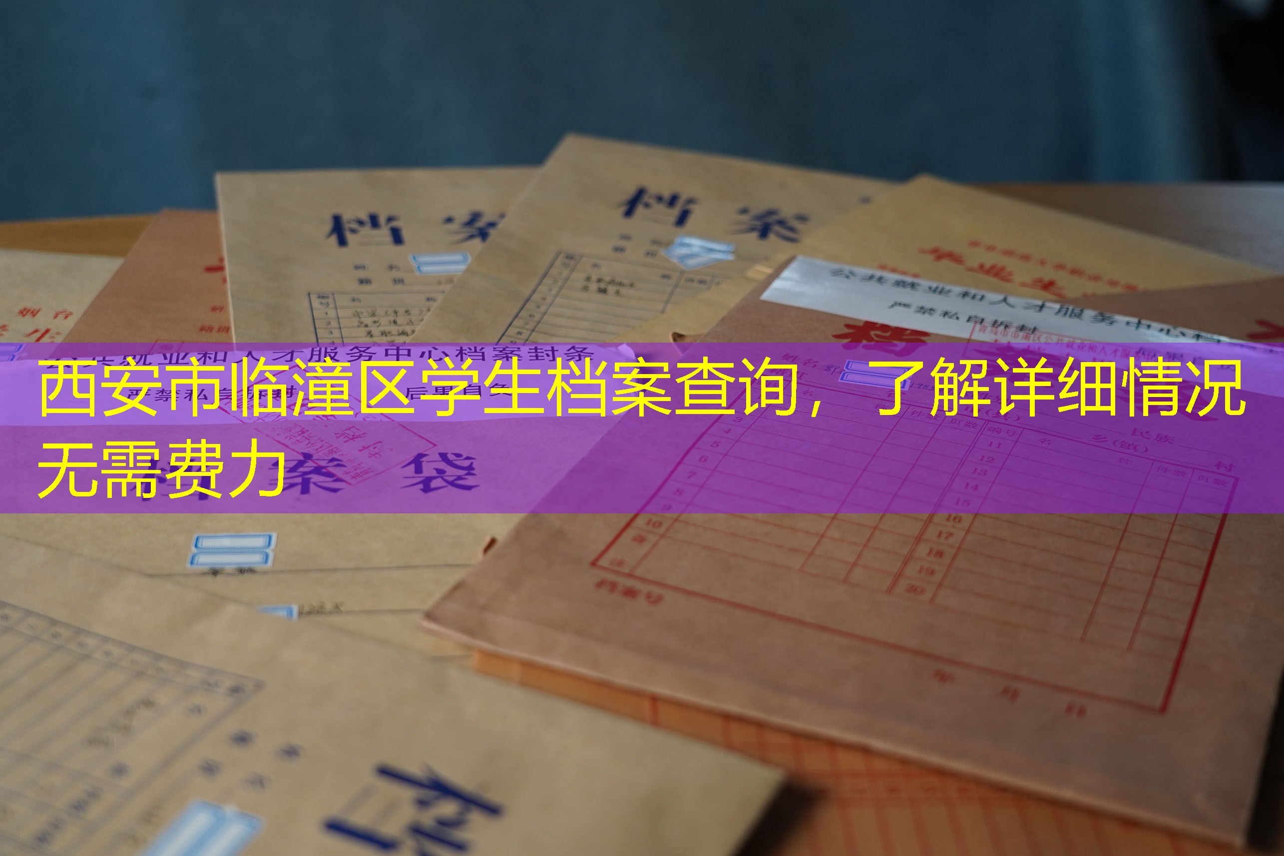 档案查询