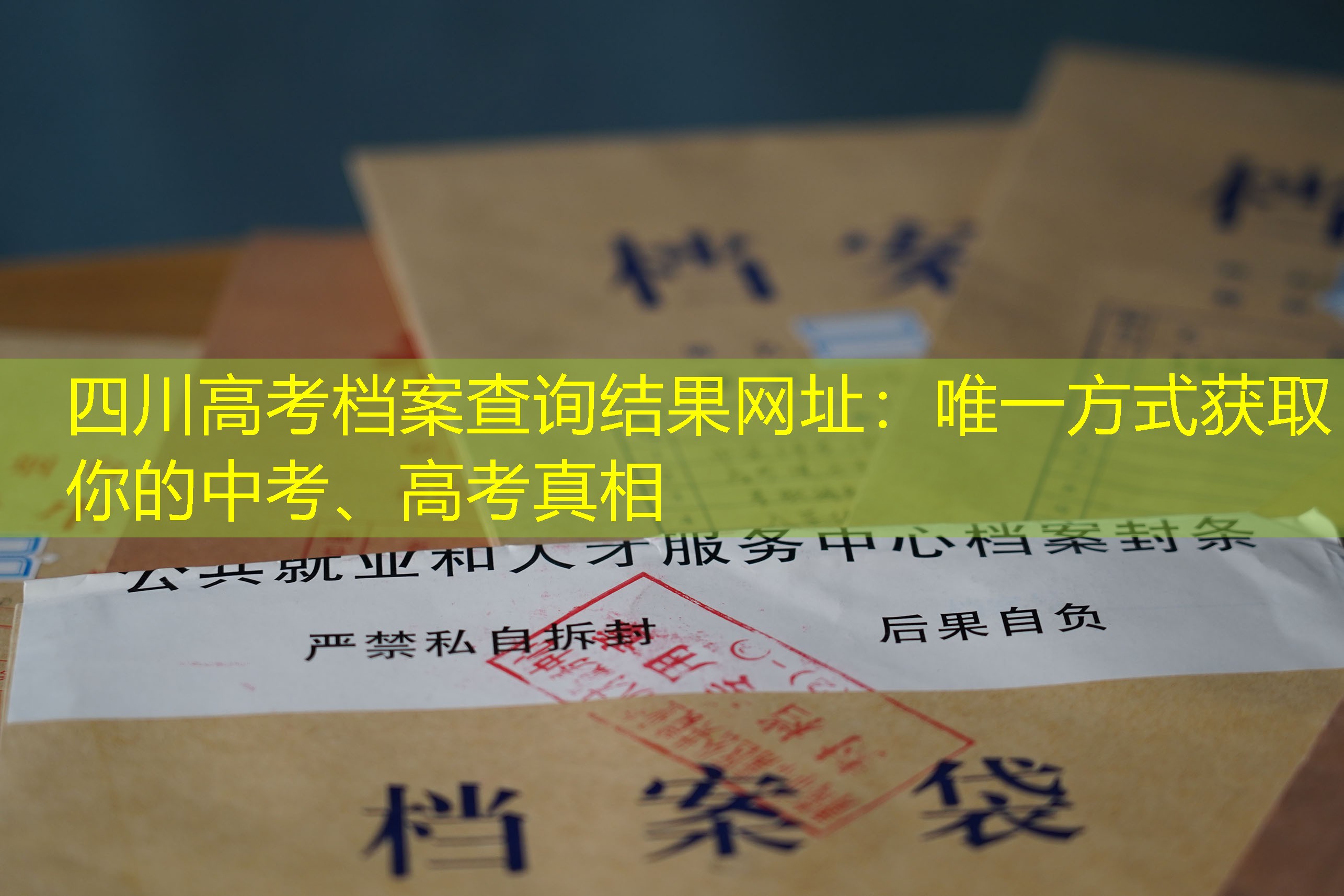 档案查询