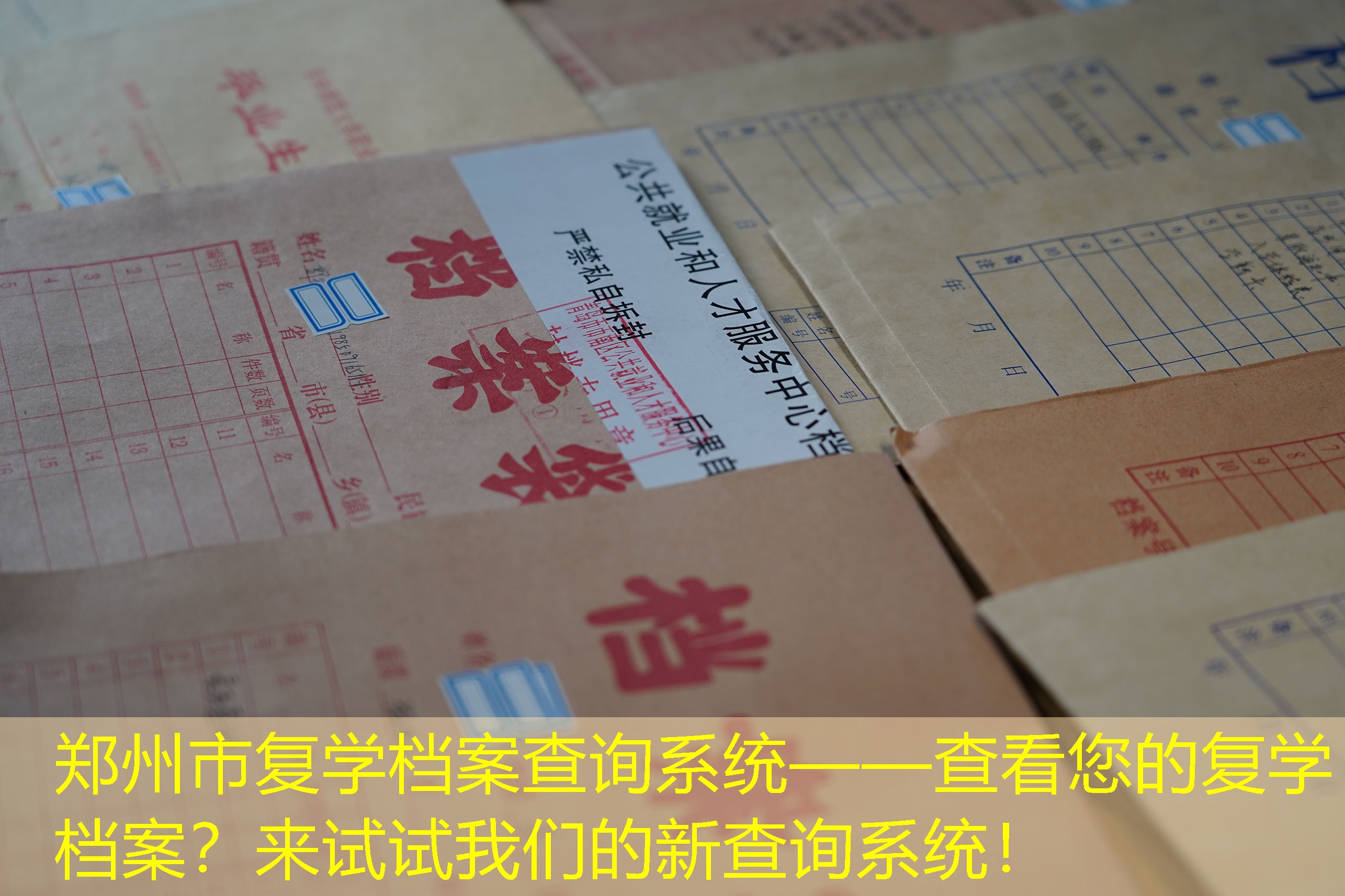档案查询
