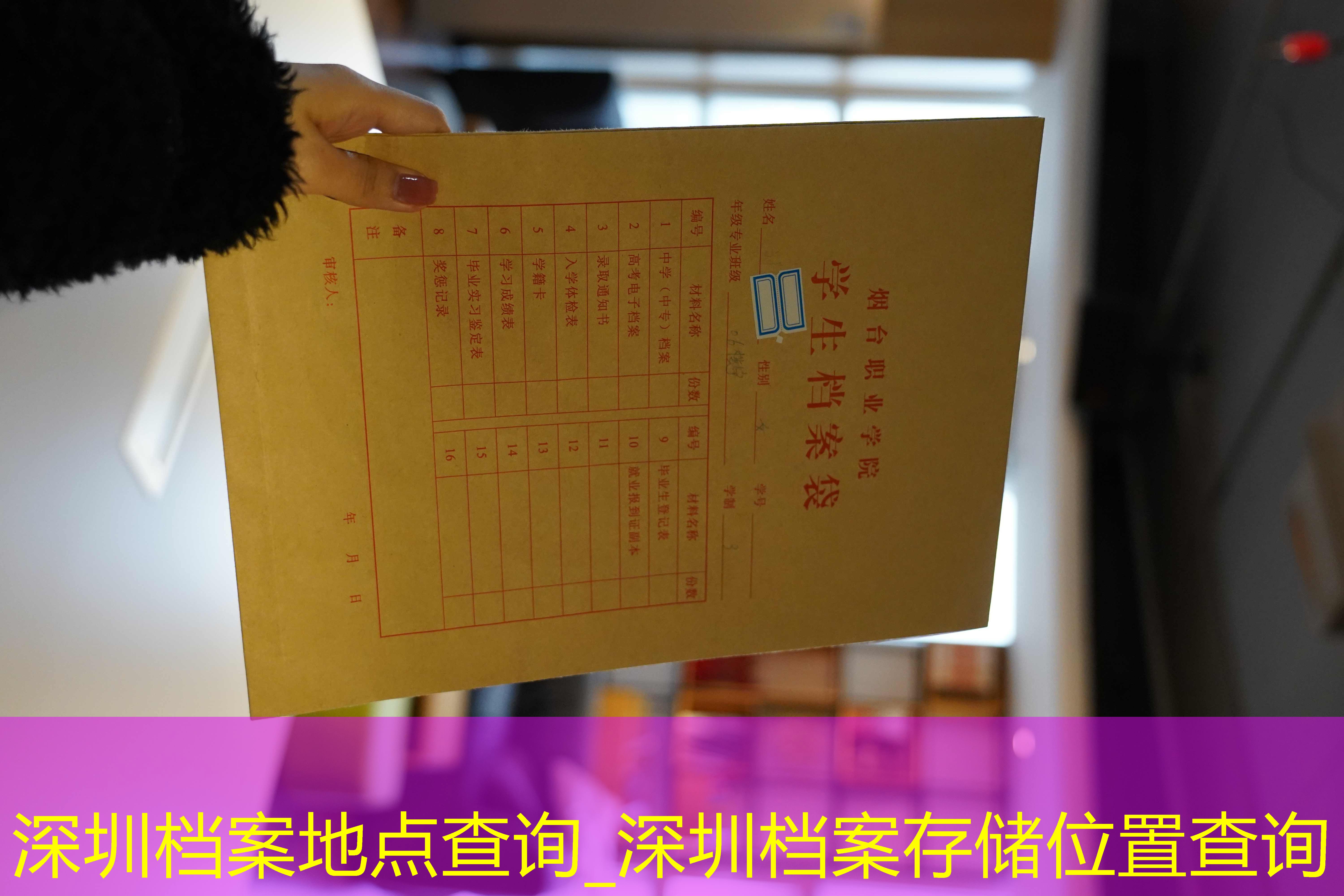 档案查询
