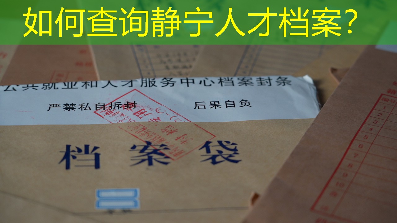 档案查询