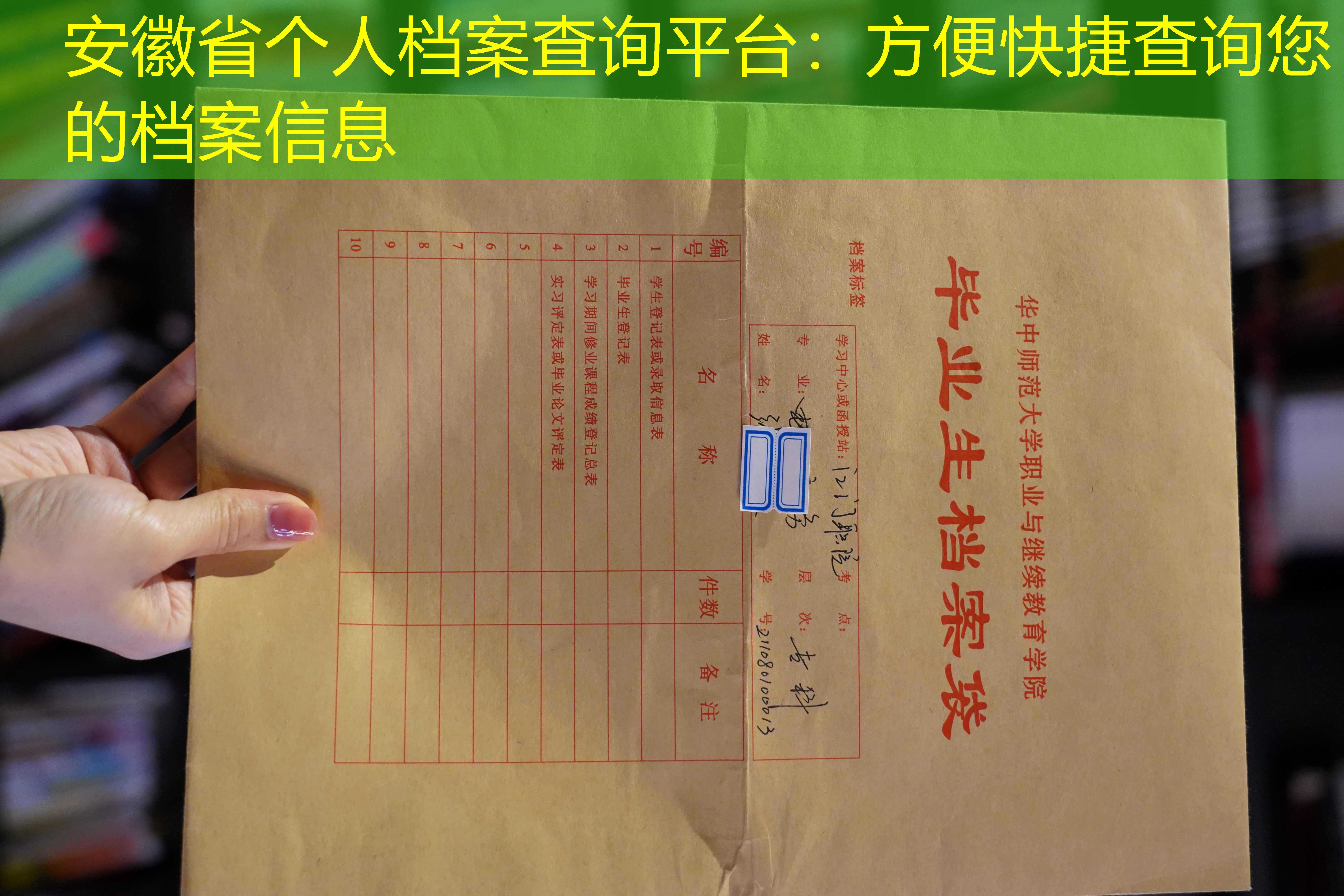 档案查询