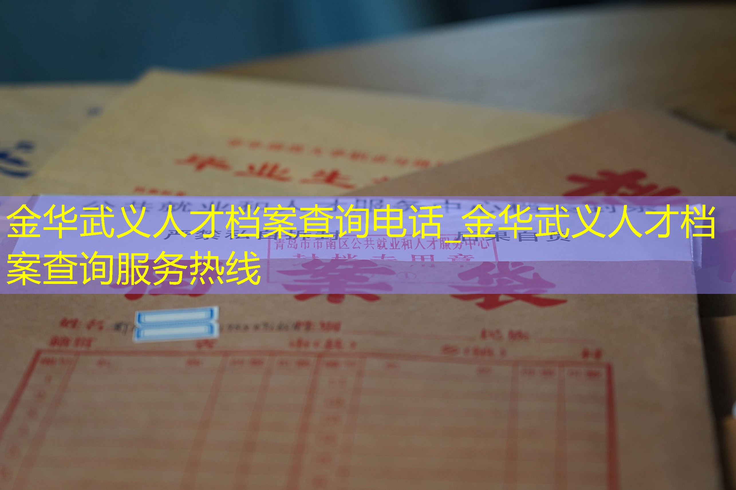 档案查询