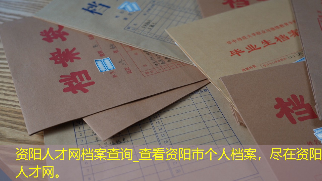 档案查询