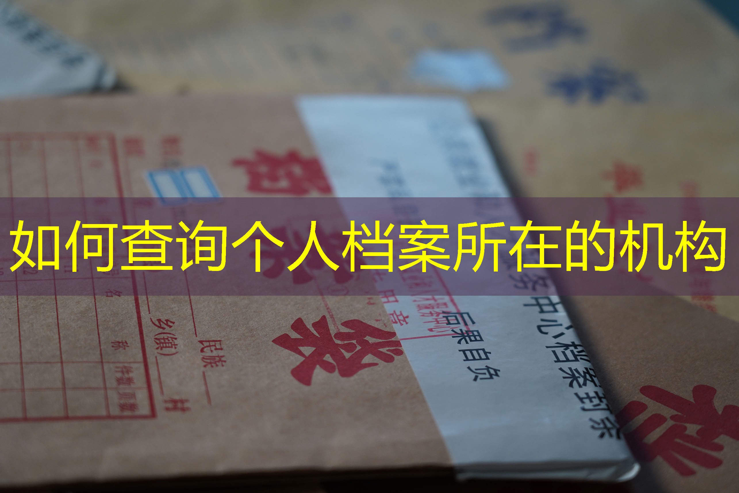 档案查询
