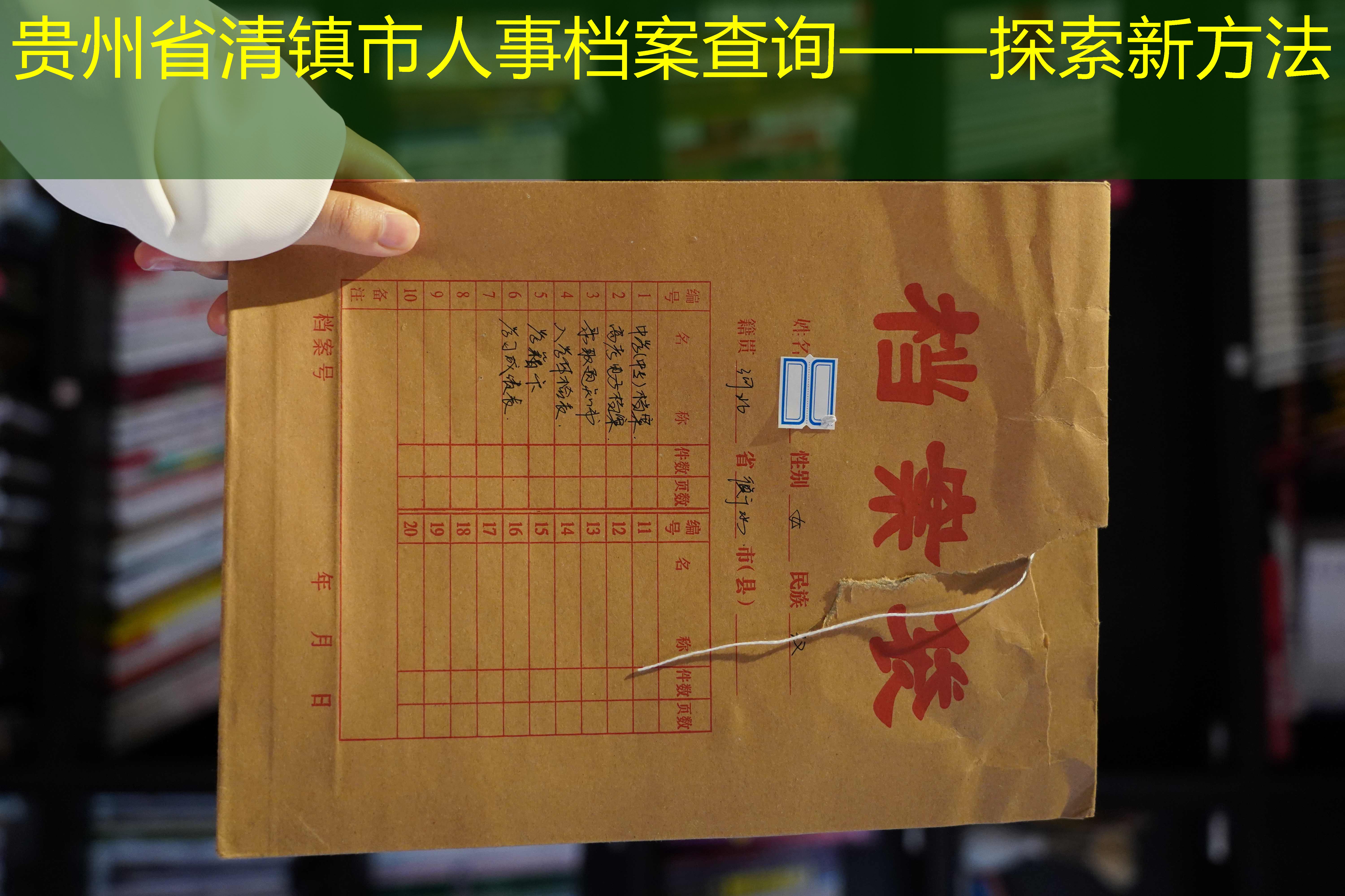 档案查询