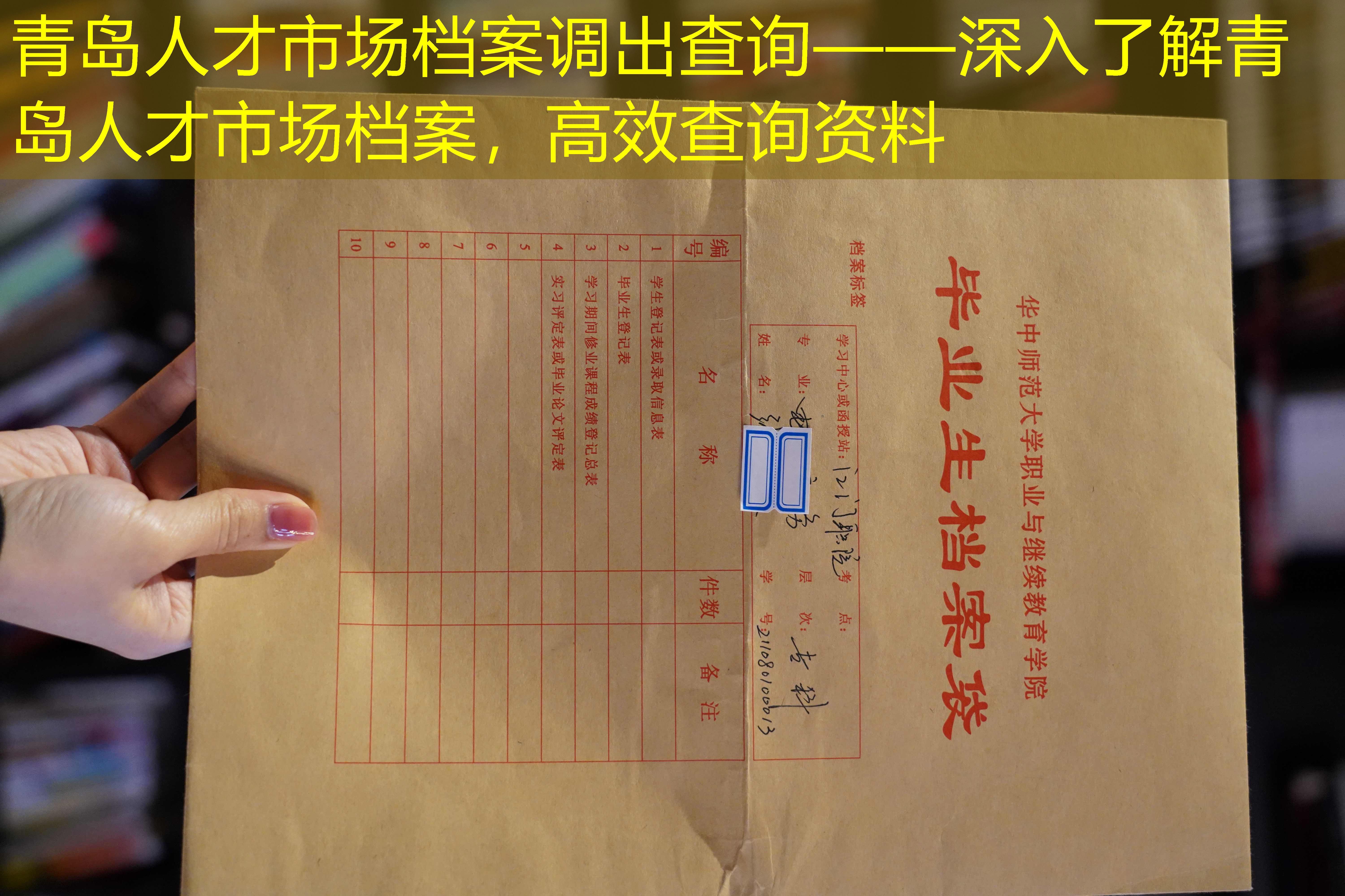 档案查询