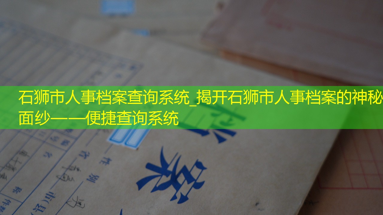 档案查询