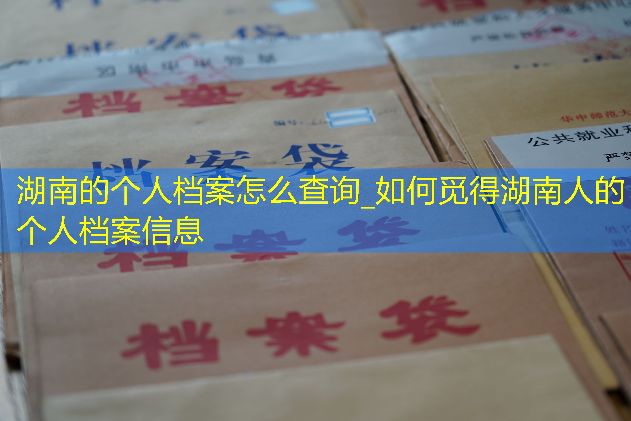 档案查询