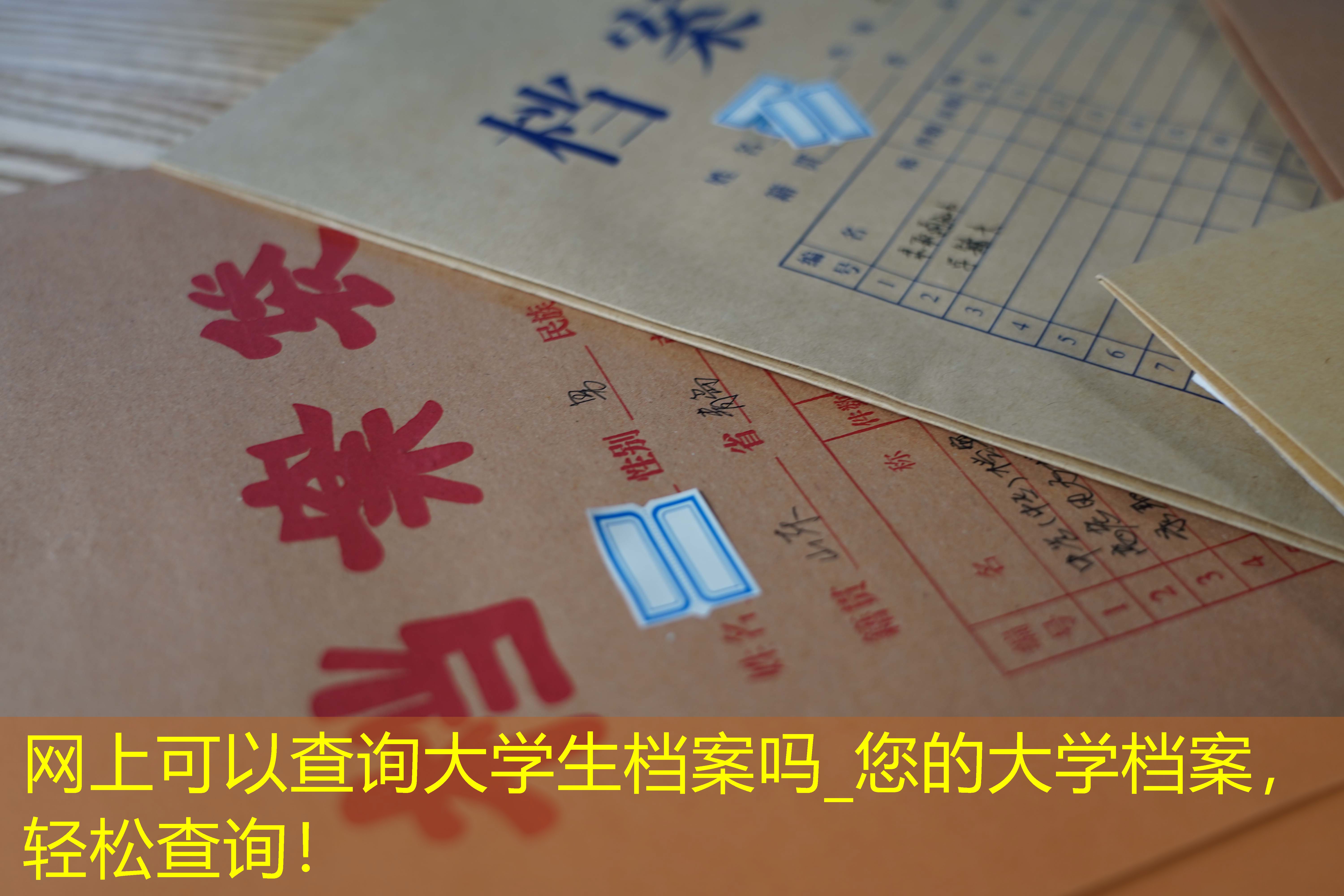 档案查询