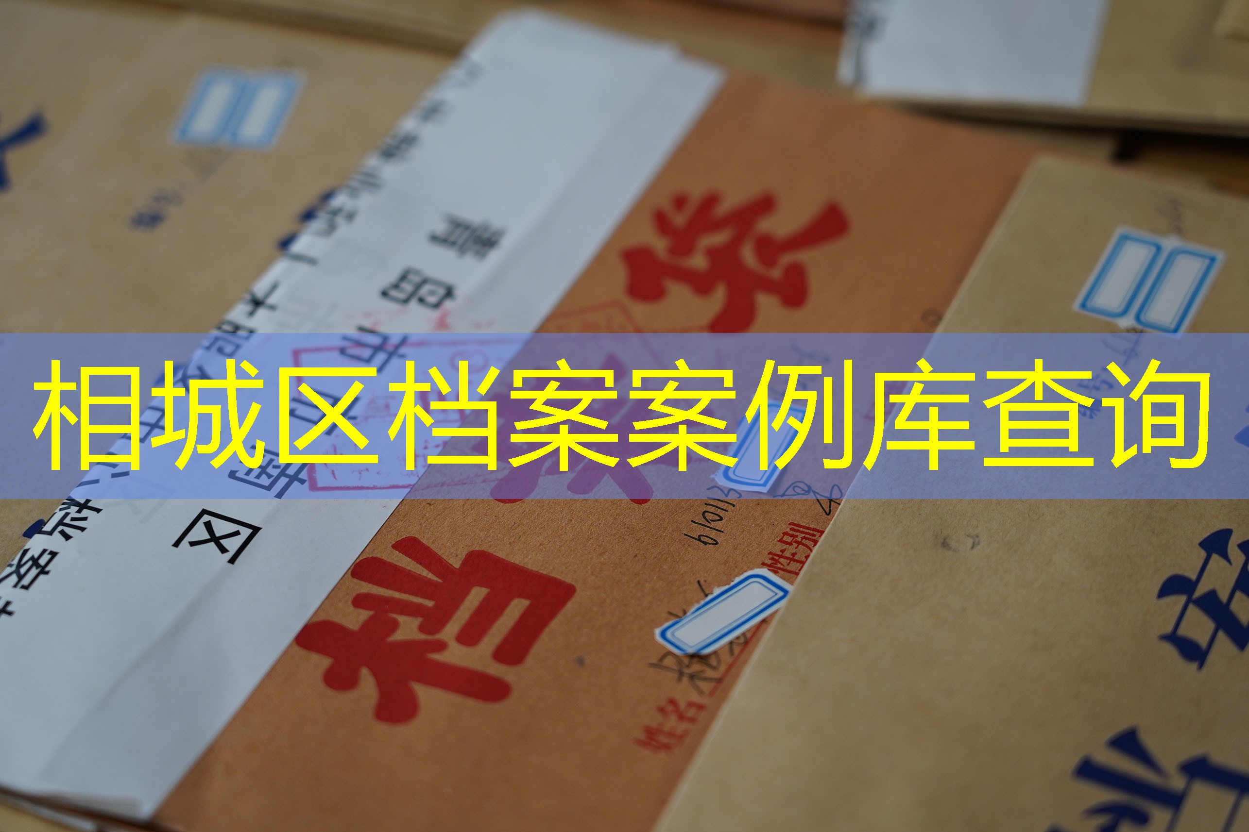 档案查询