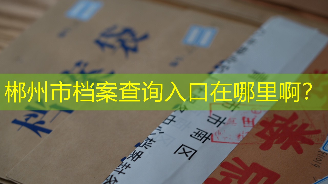 档案查询