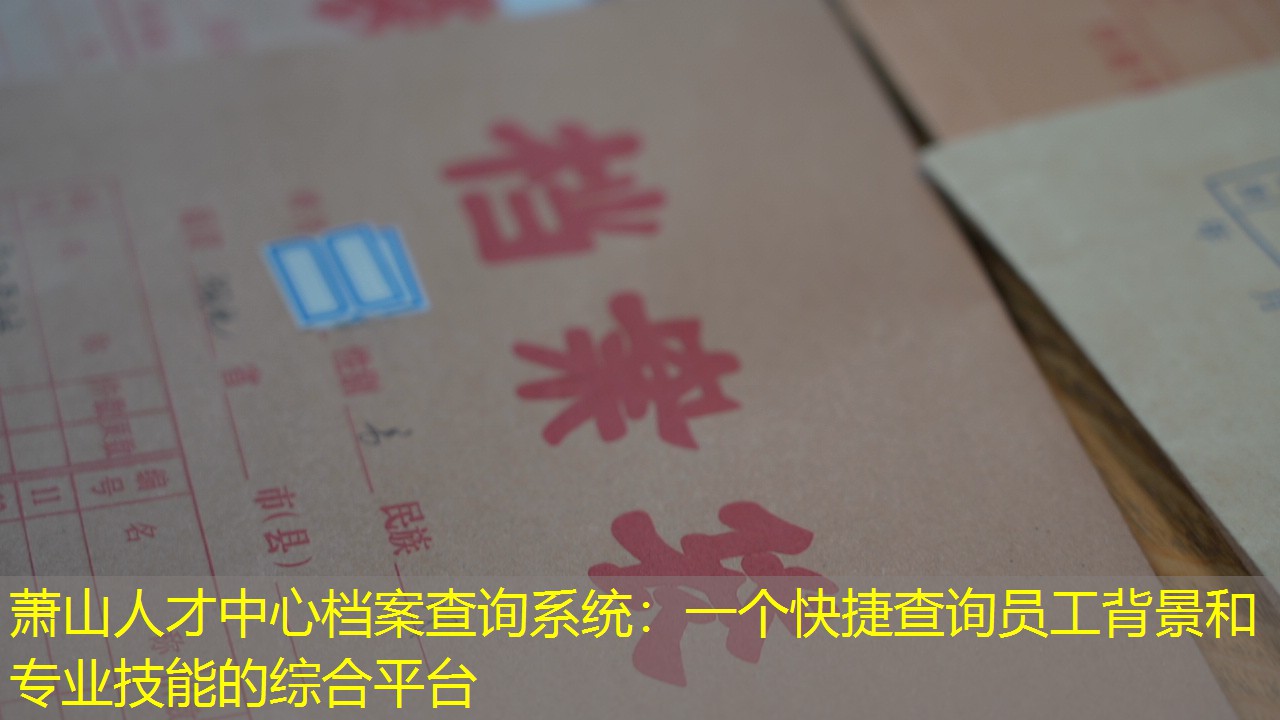 档案查询