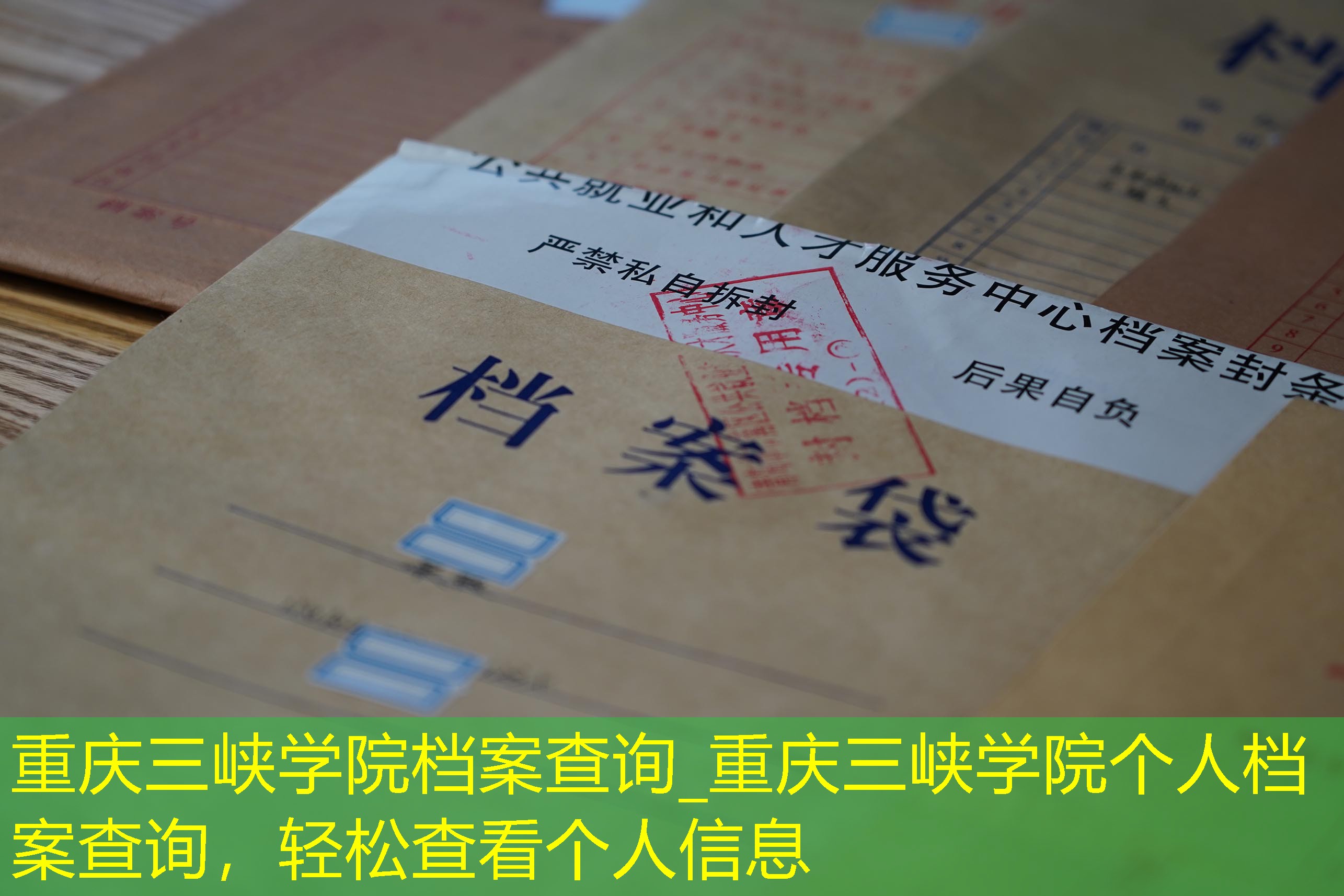 档案查询