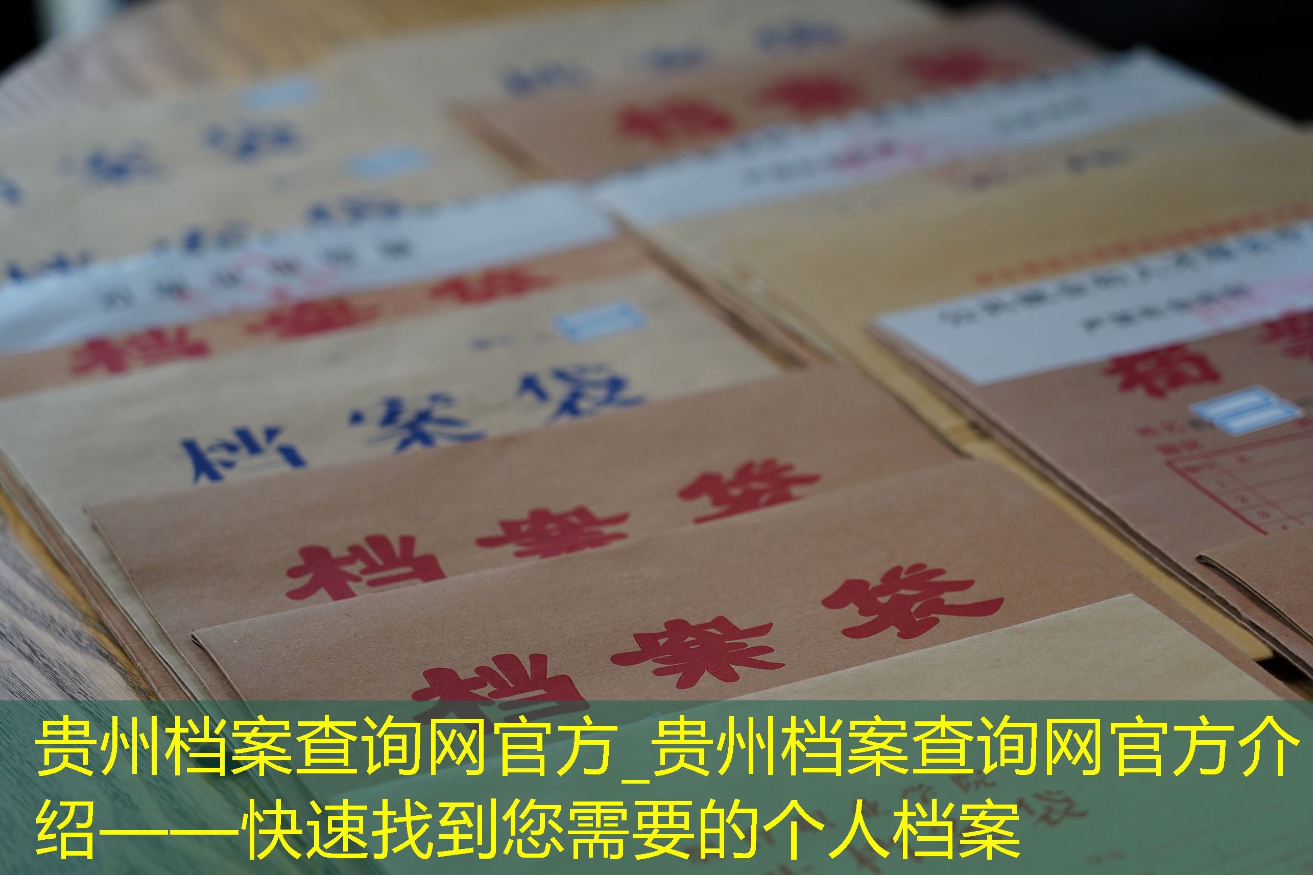 档案查询