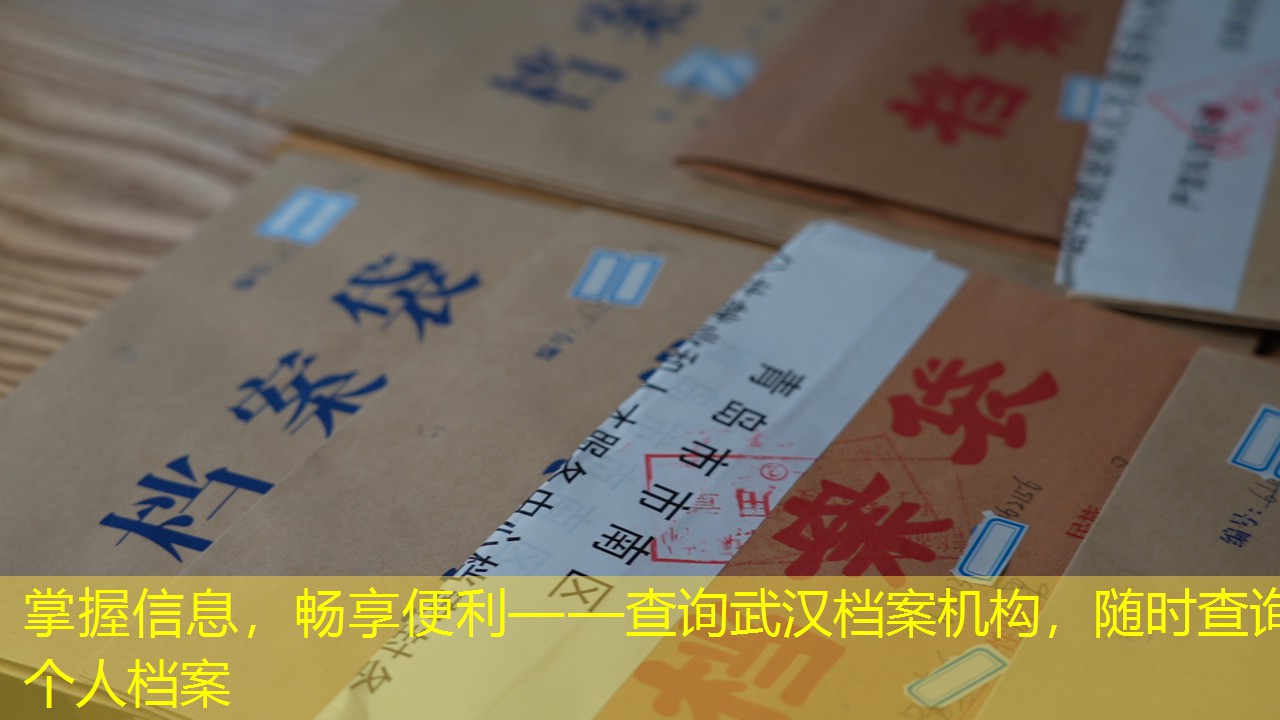 档案查询
