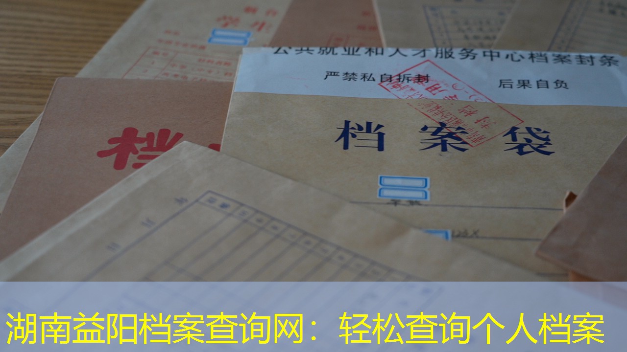 档案查询