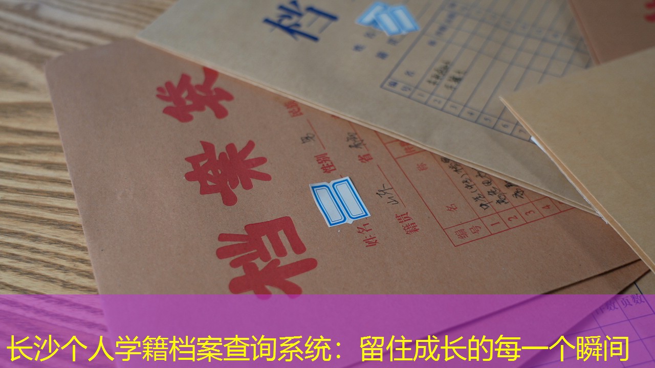 档案查询