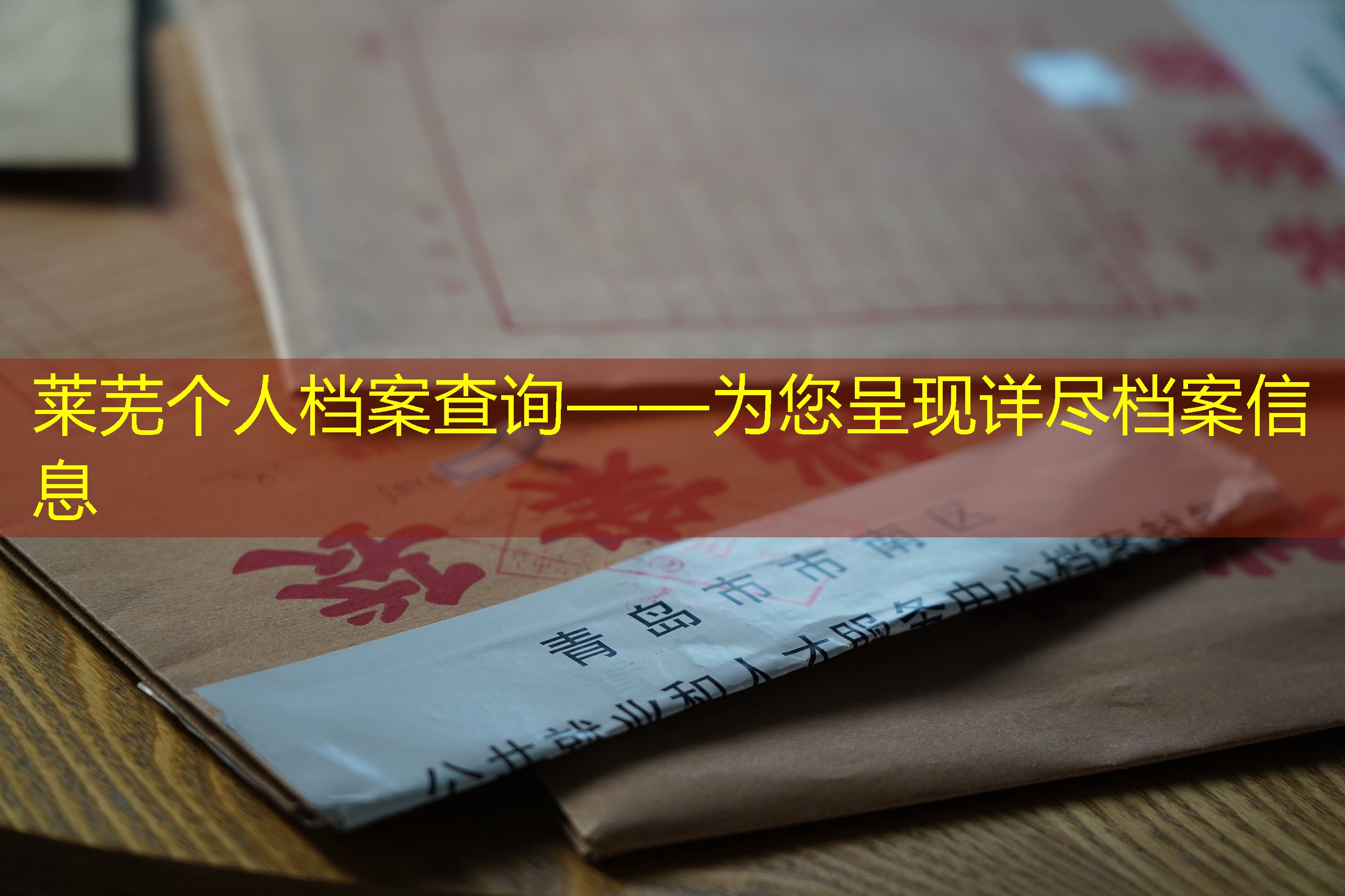 档案查询