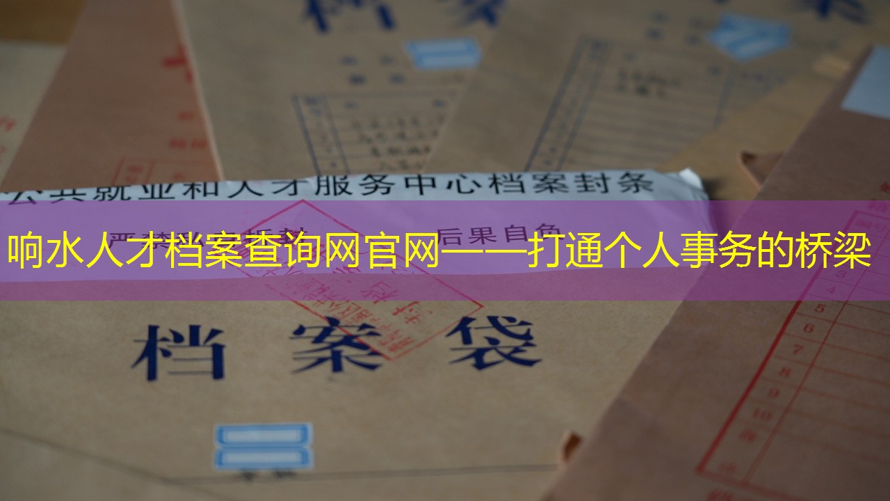 档案查询