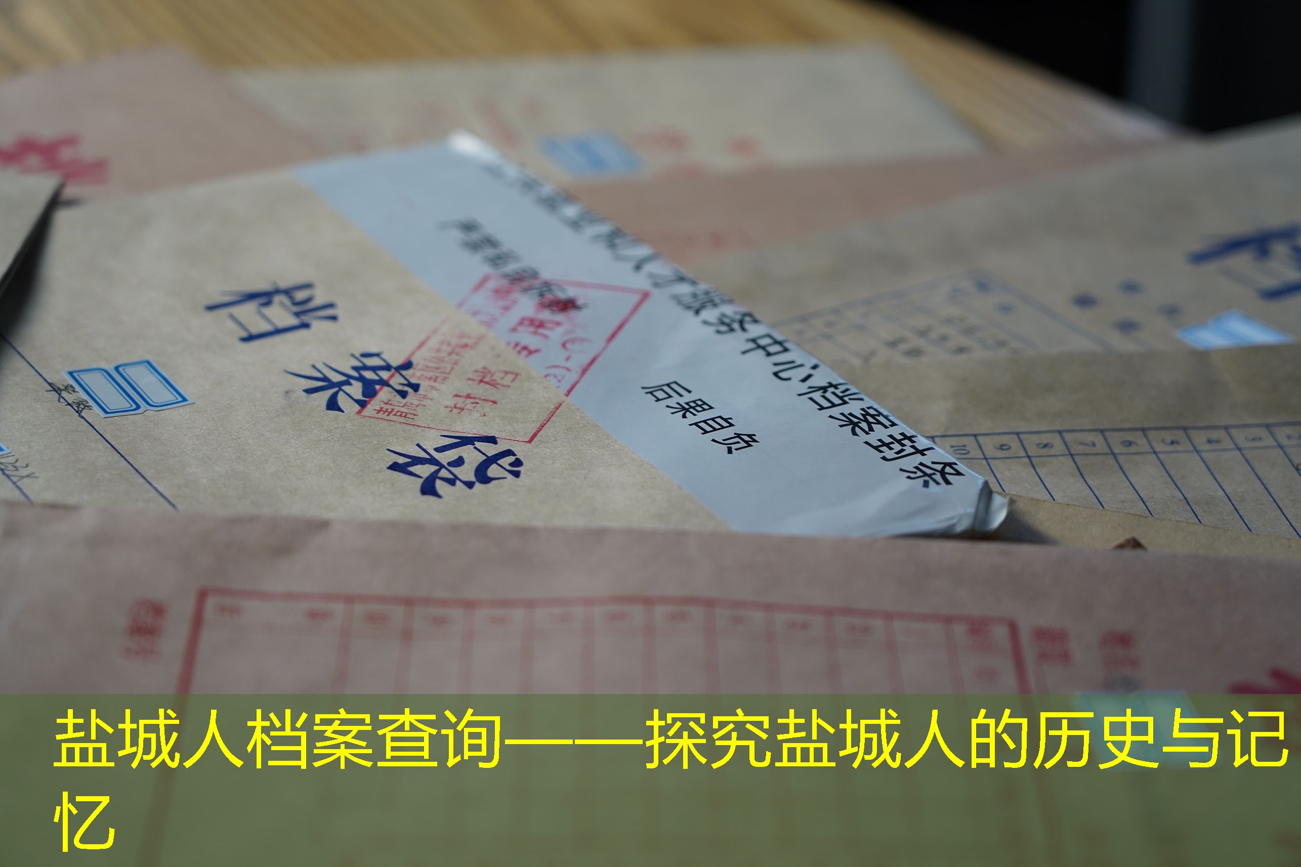 档案查询
