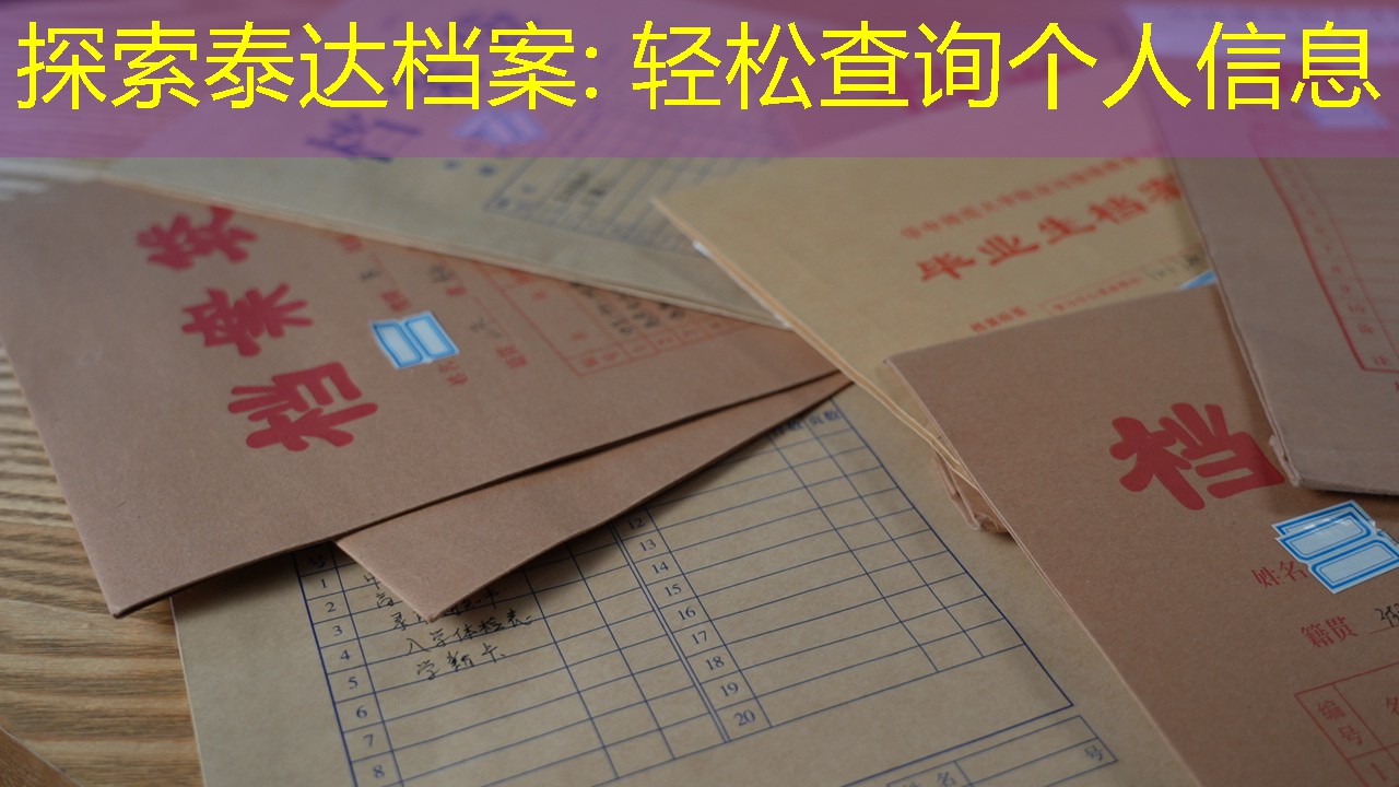 档案查询