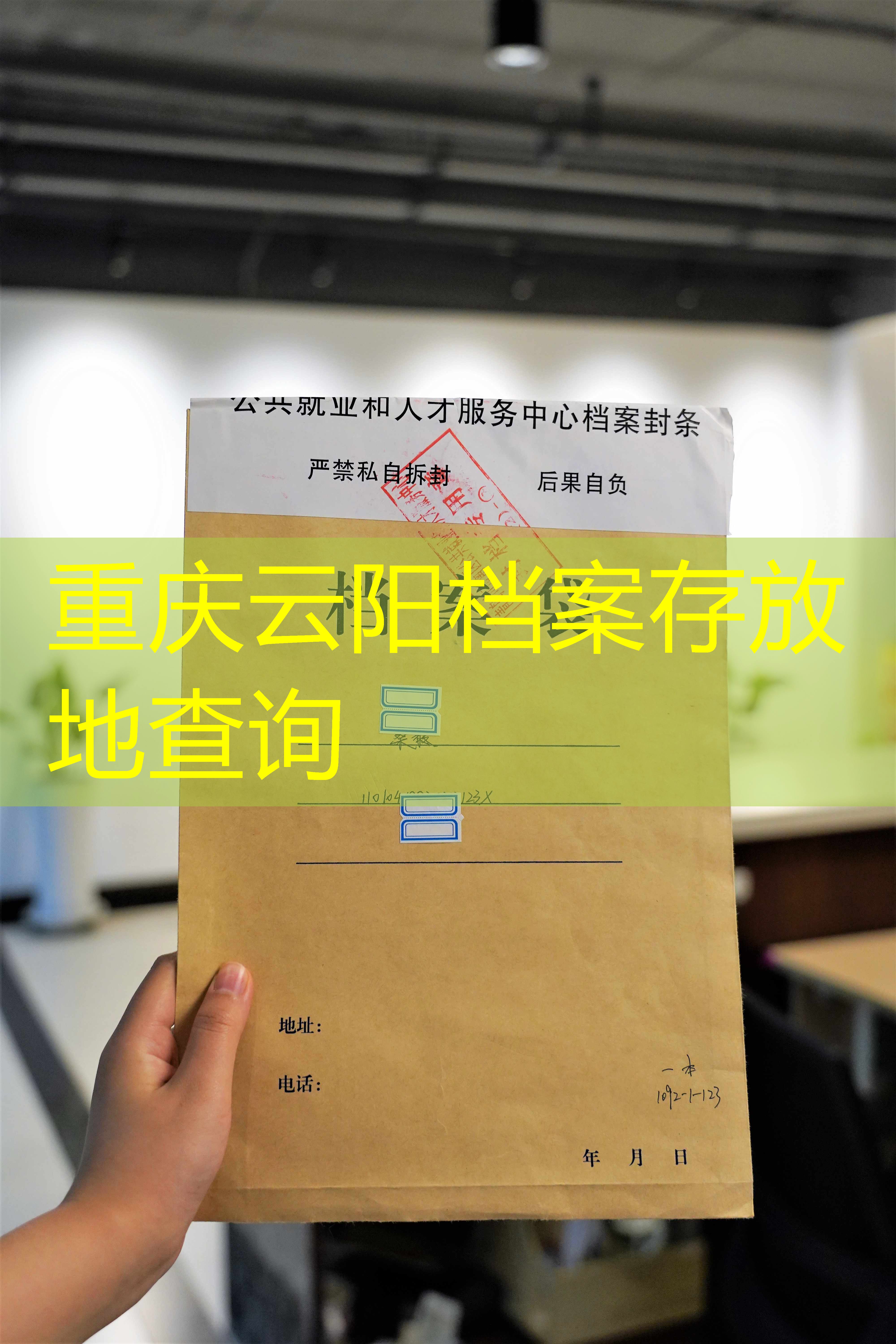 档案查询