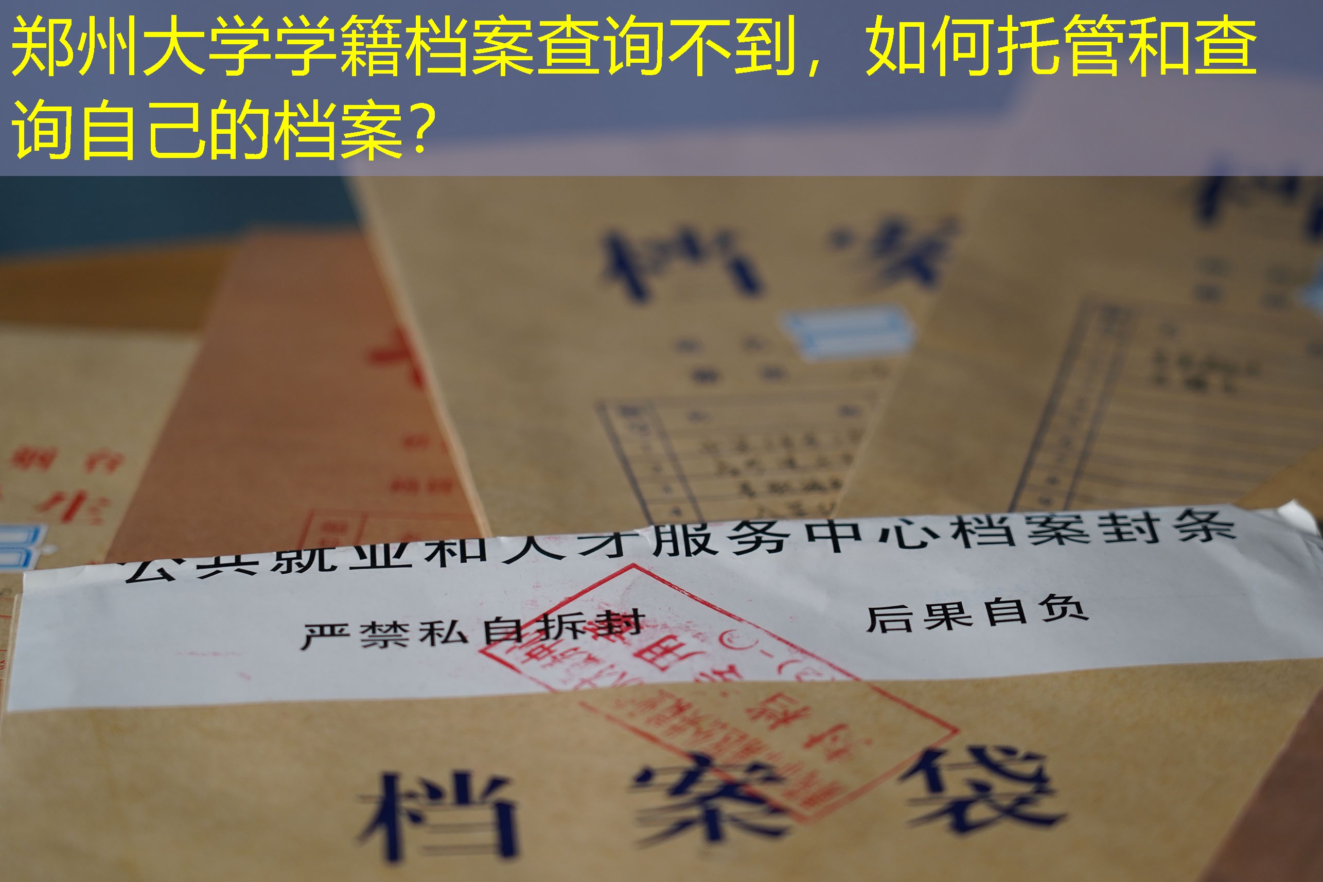 档案查询