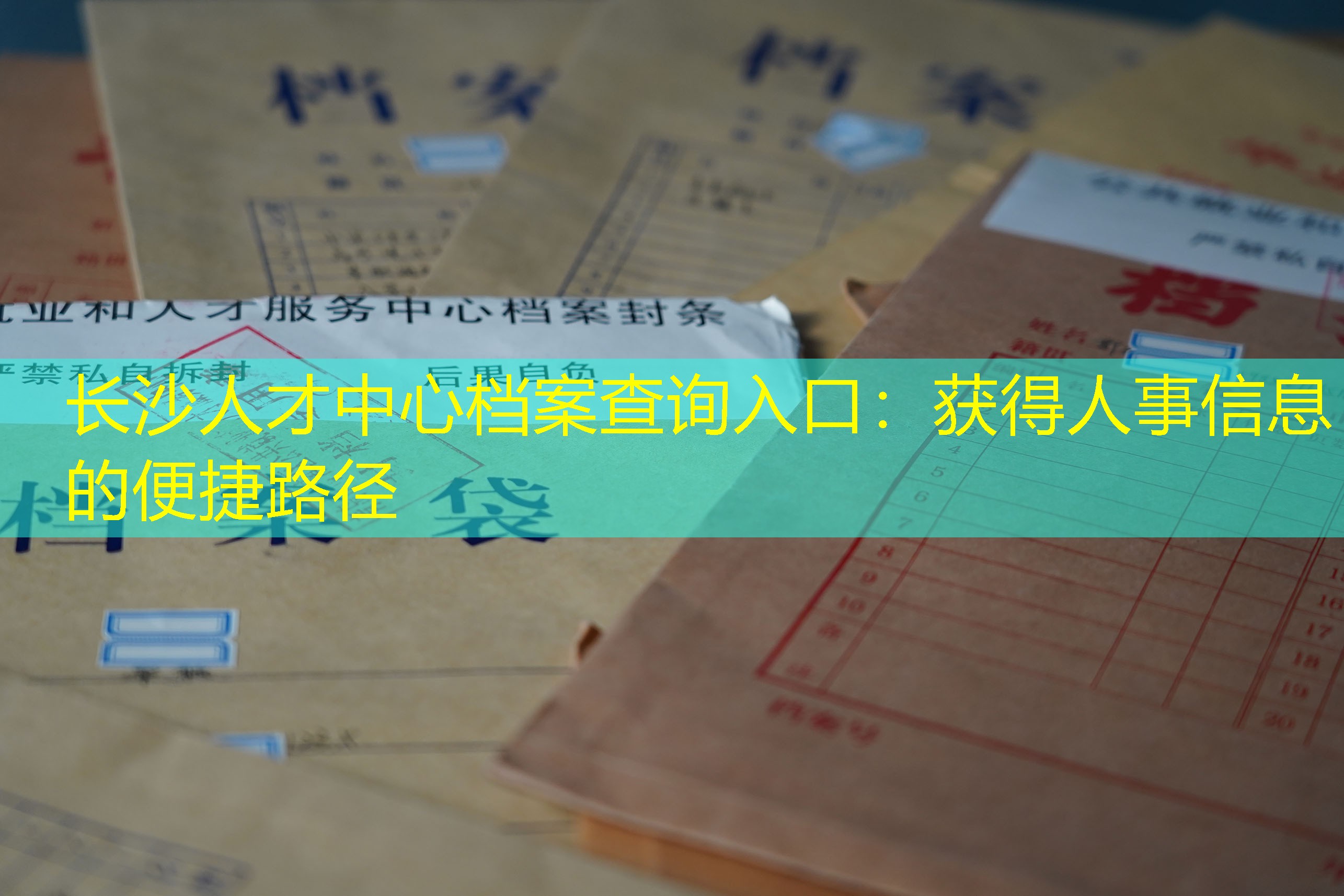 档案查询