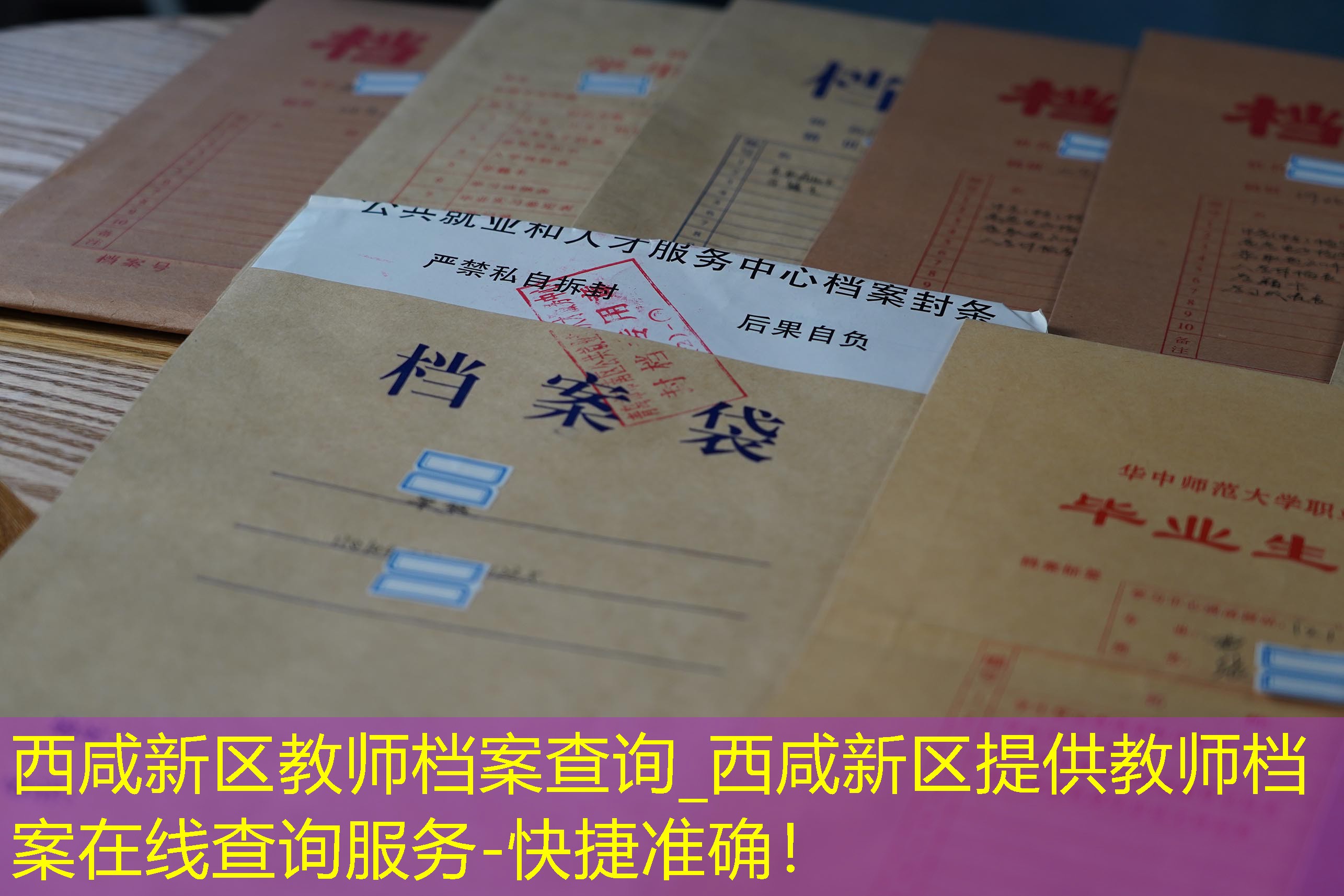 档案查询