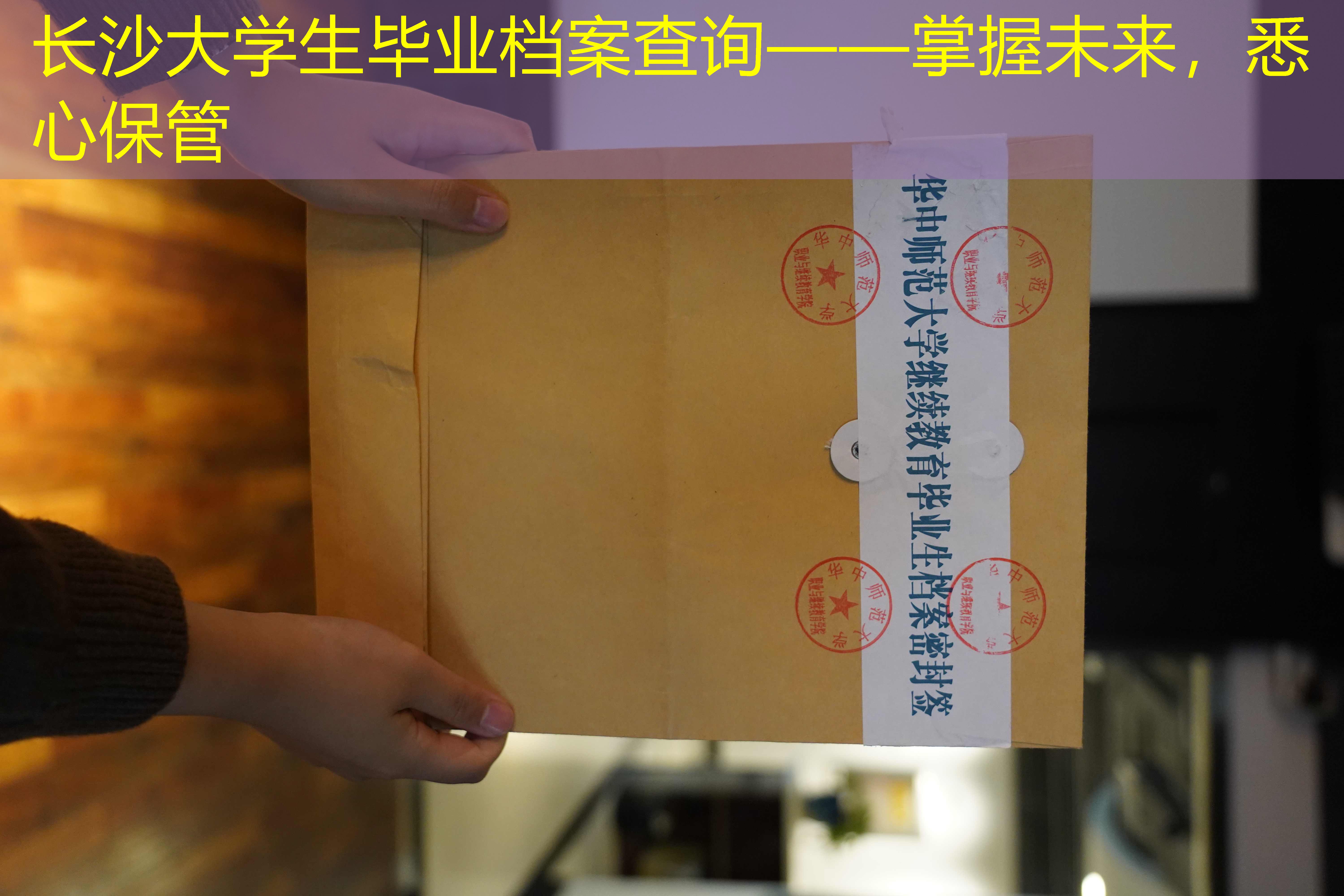 档案查询