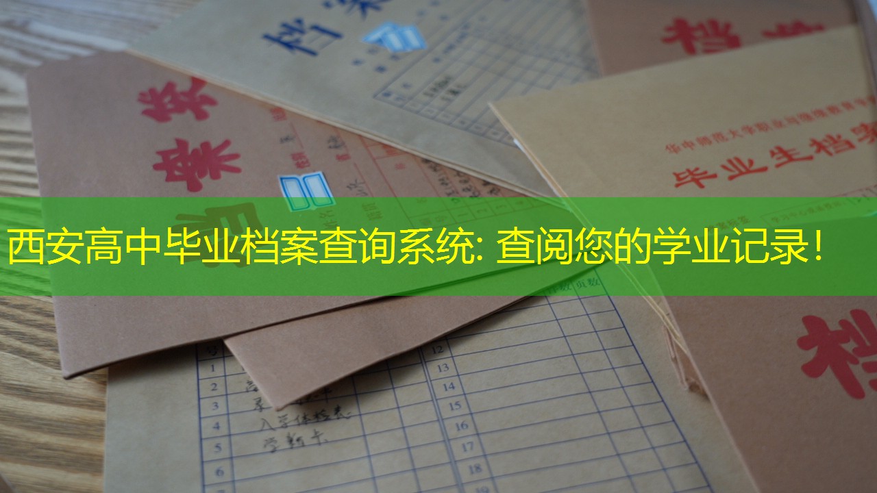 档案查询