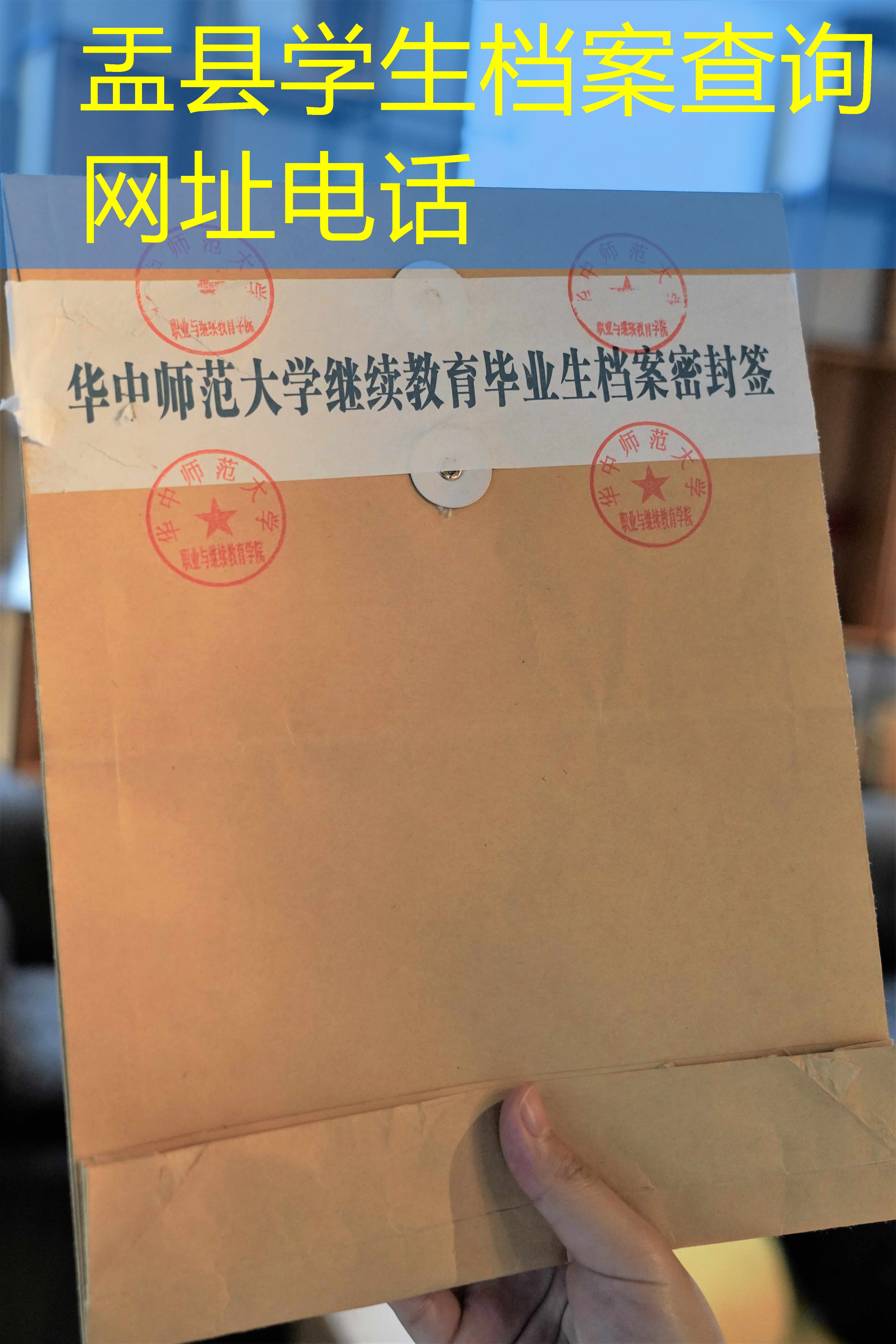 档案查询