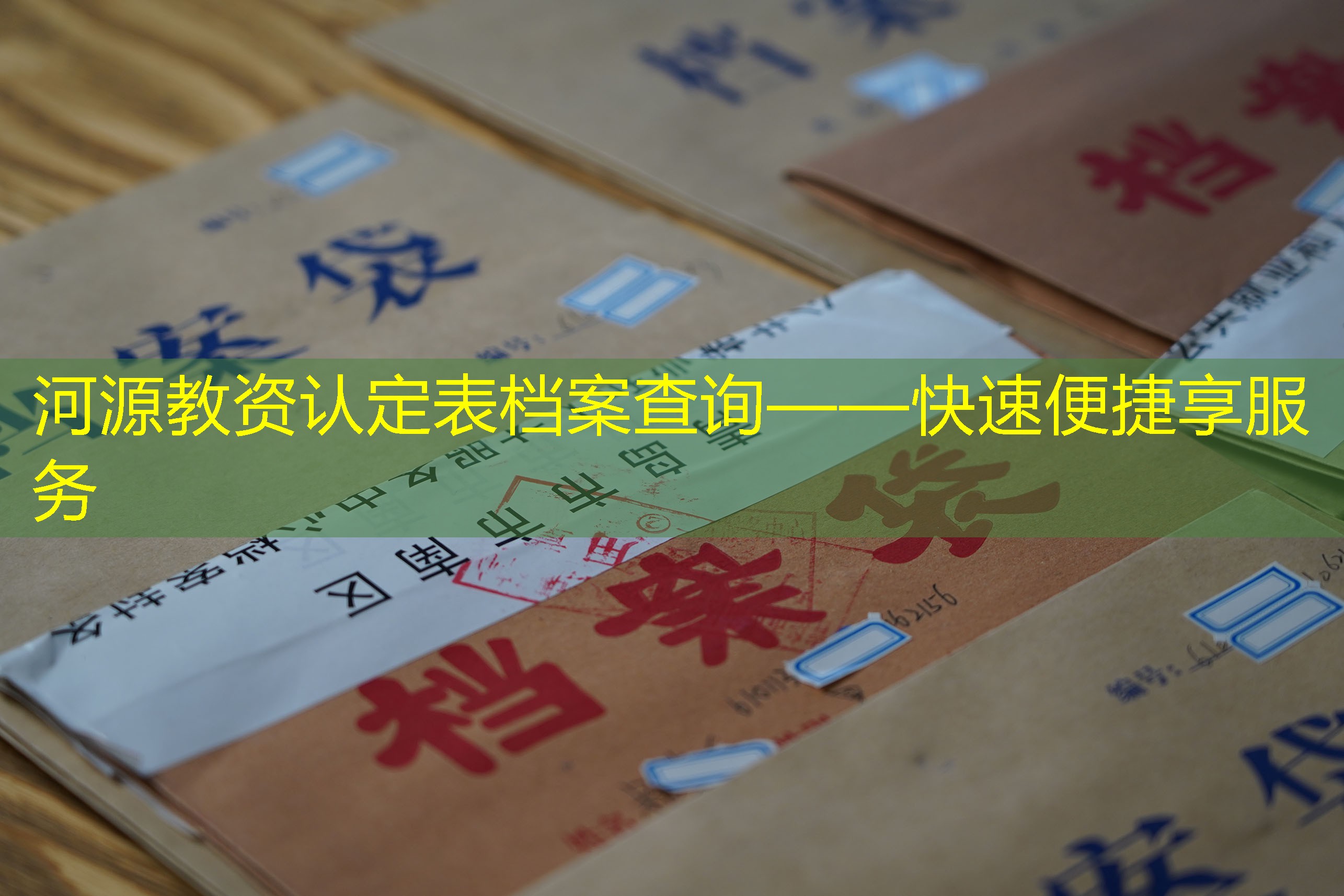 档案查询
