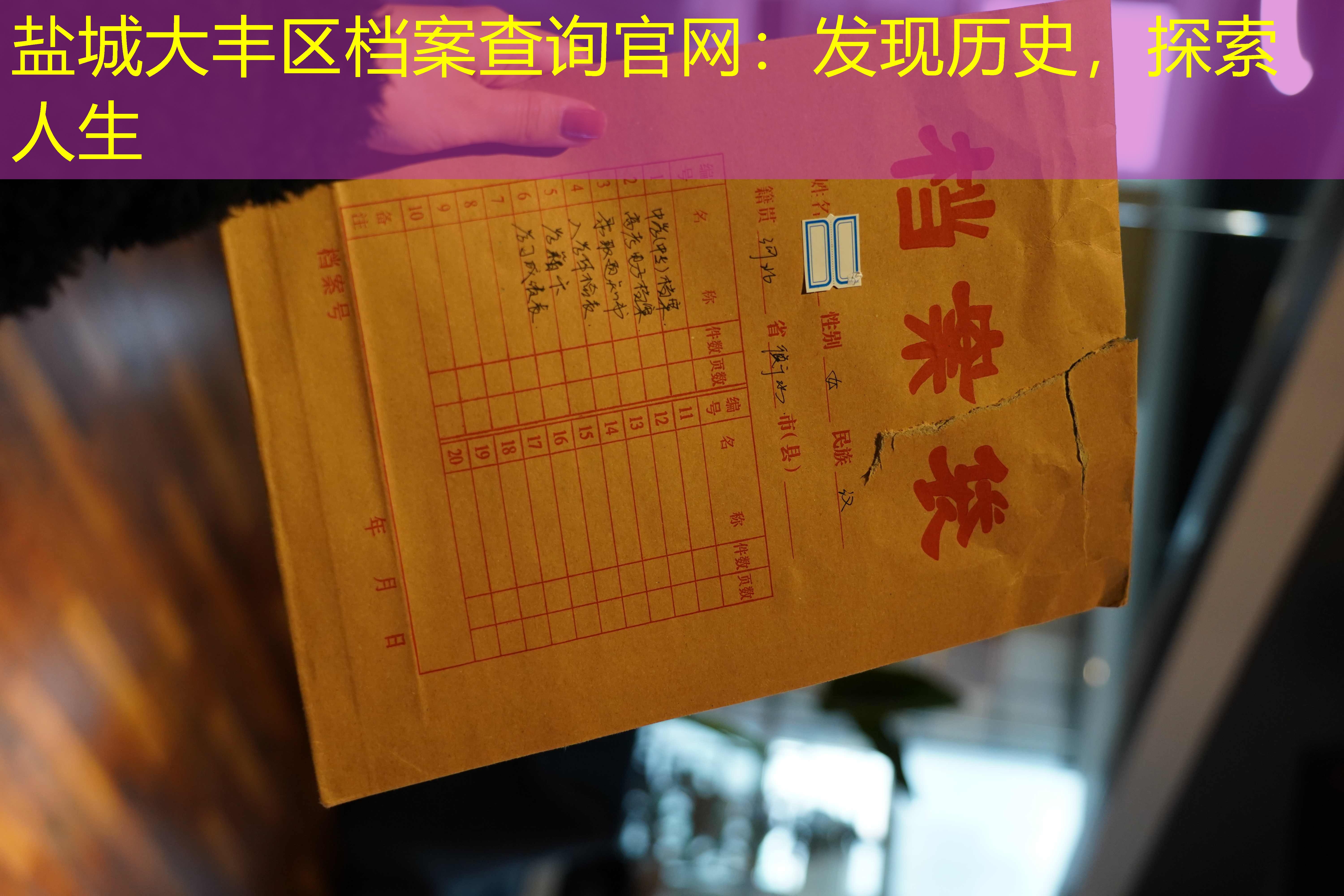 档案查询