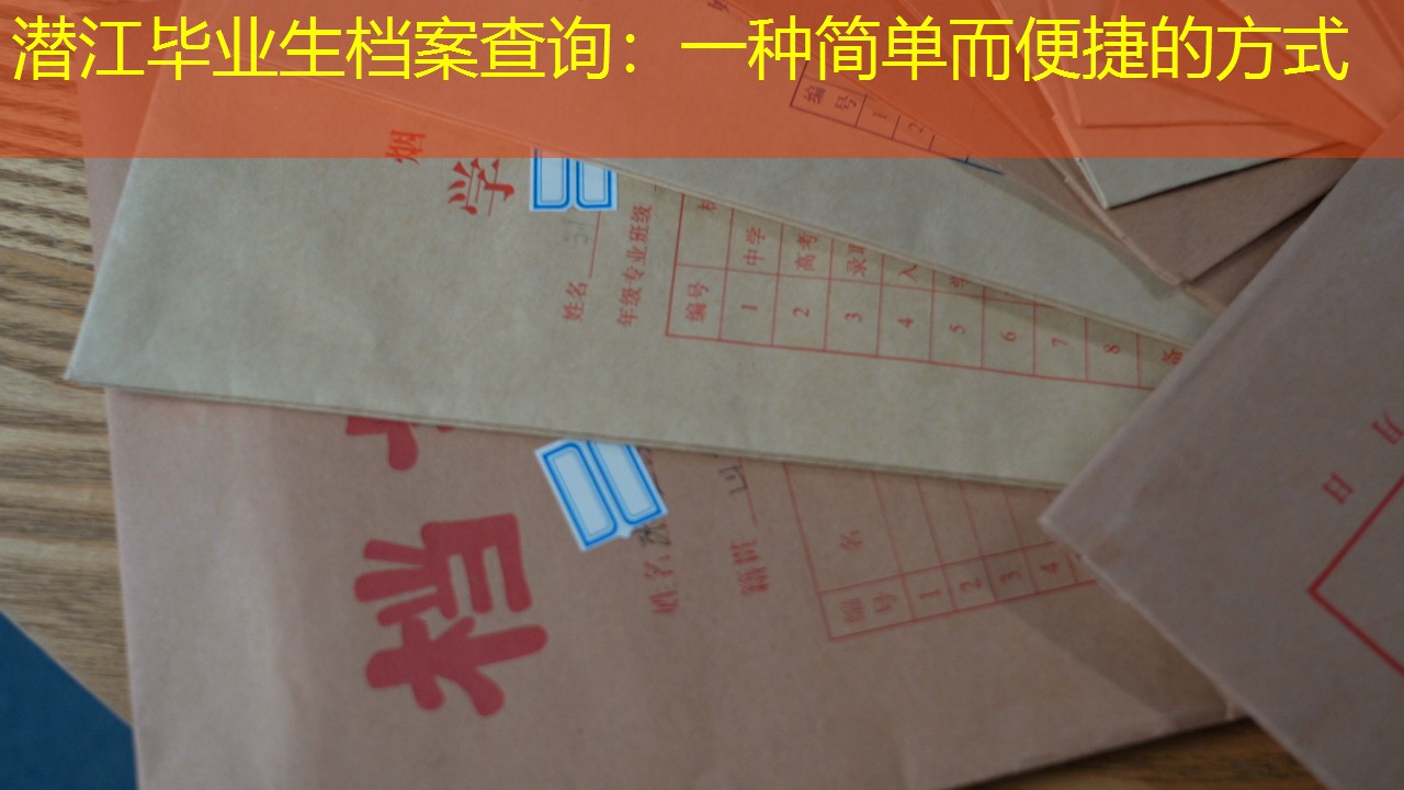 档案查询