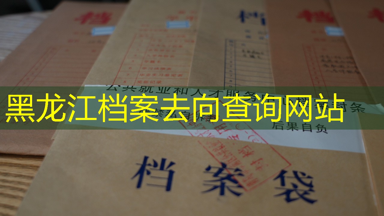档案查询