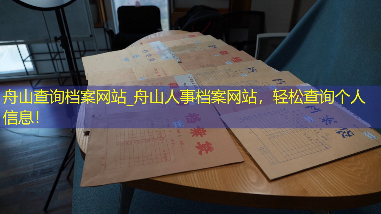 档案查询