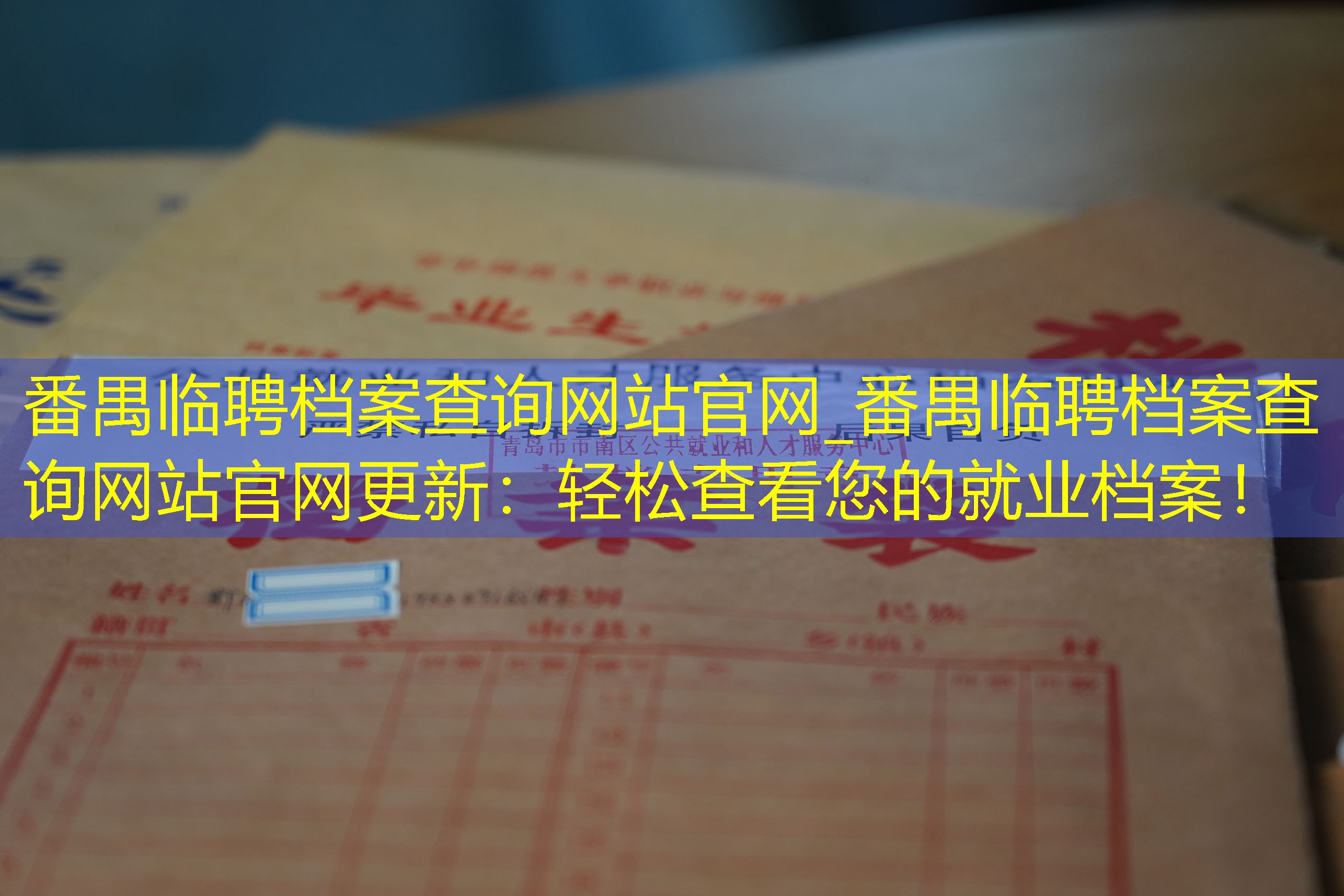 档案查询