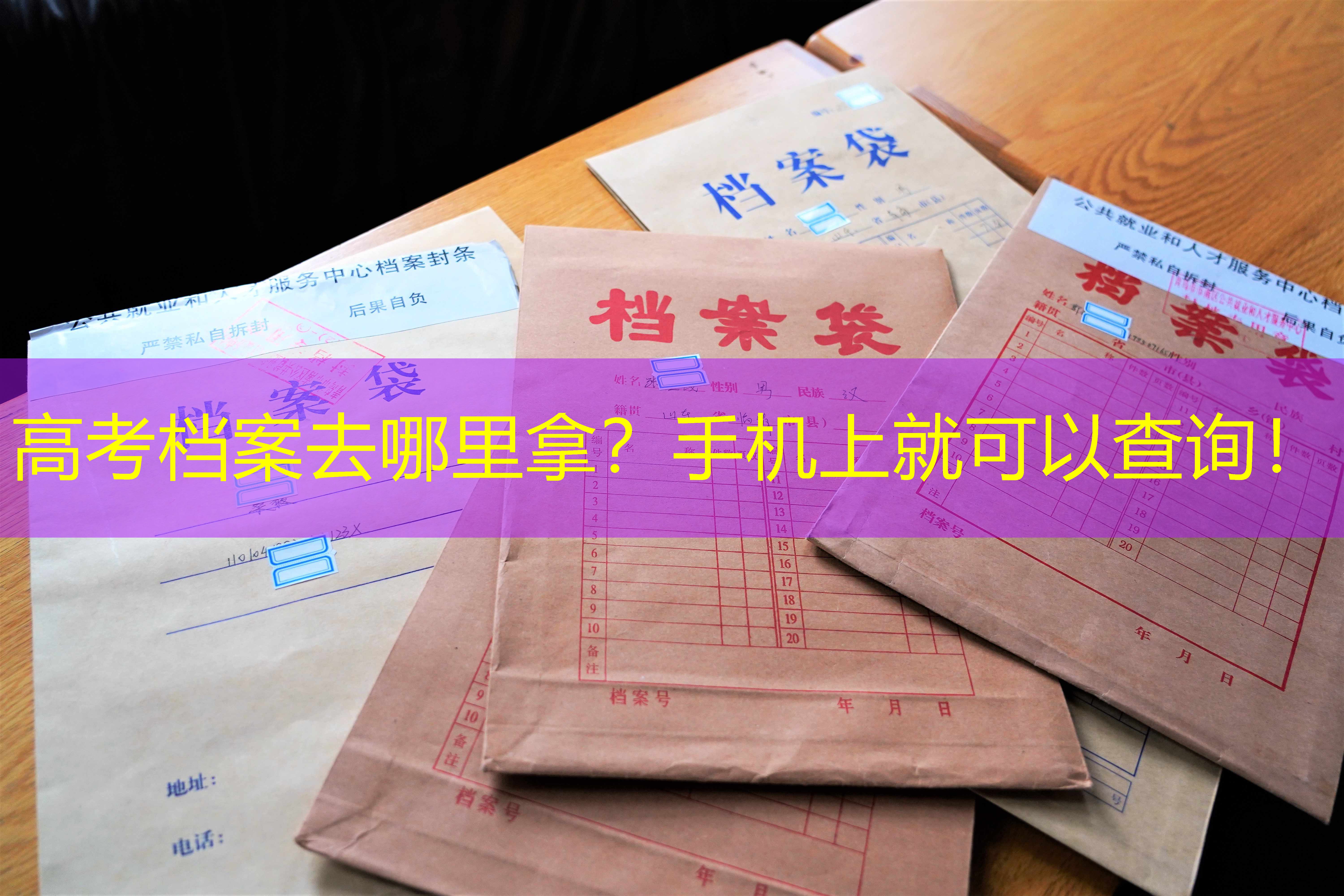 档案查询