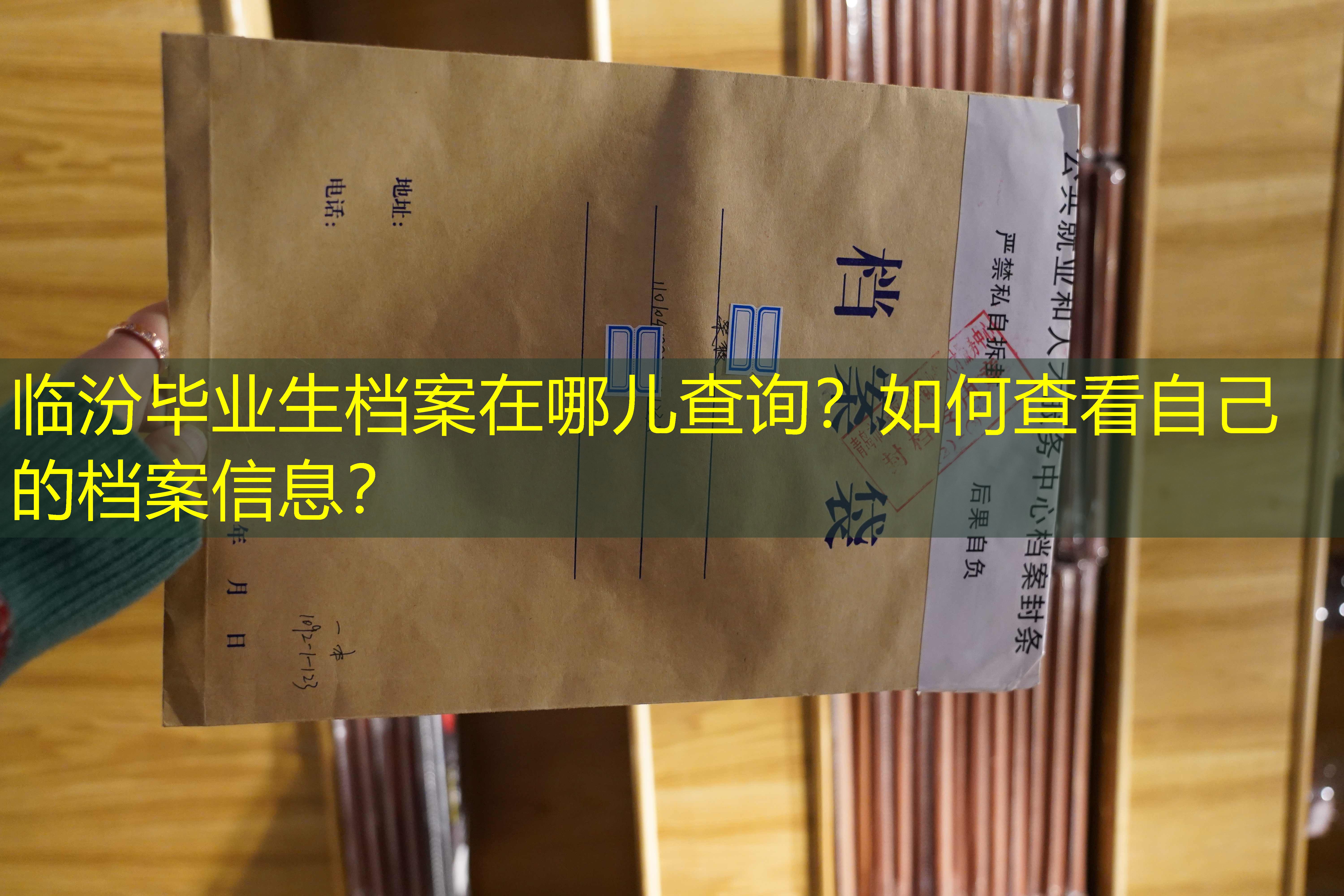 档案查询