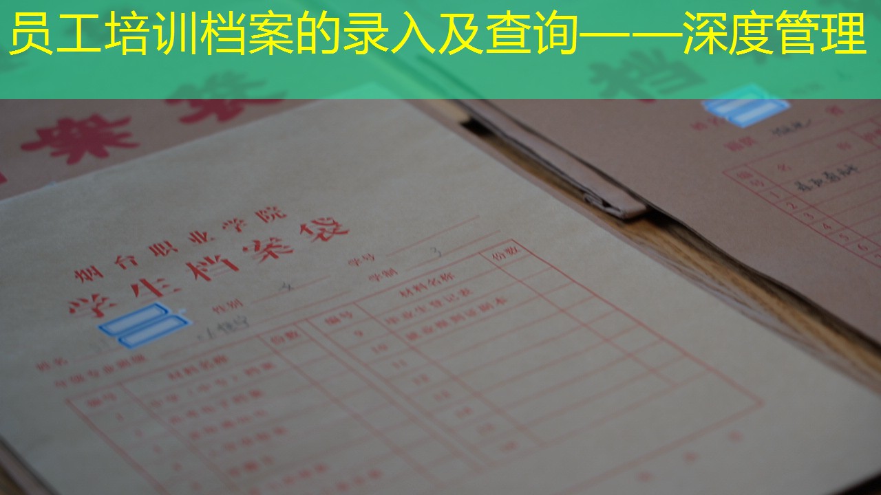 档案查询