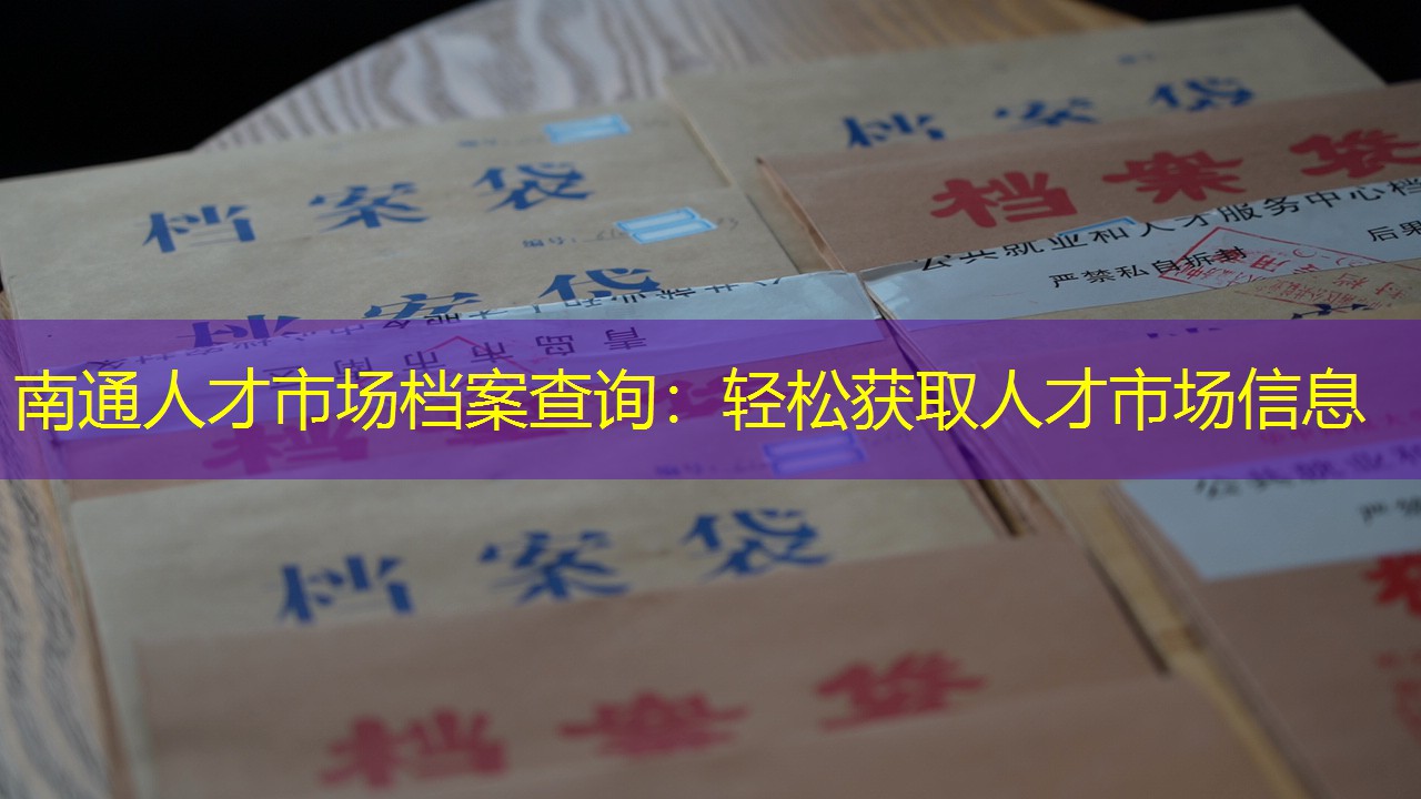 档案查询