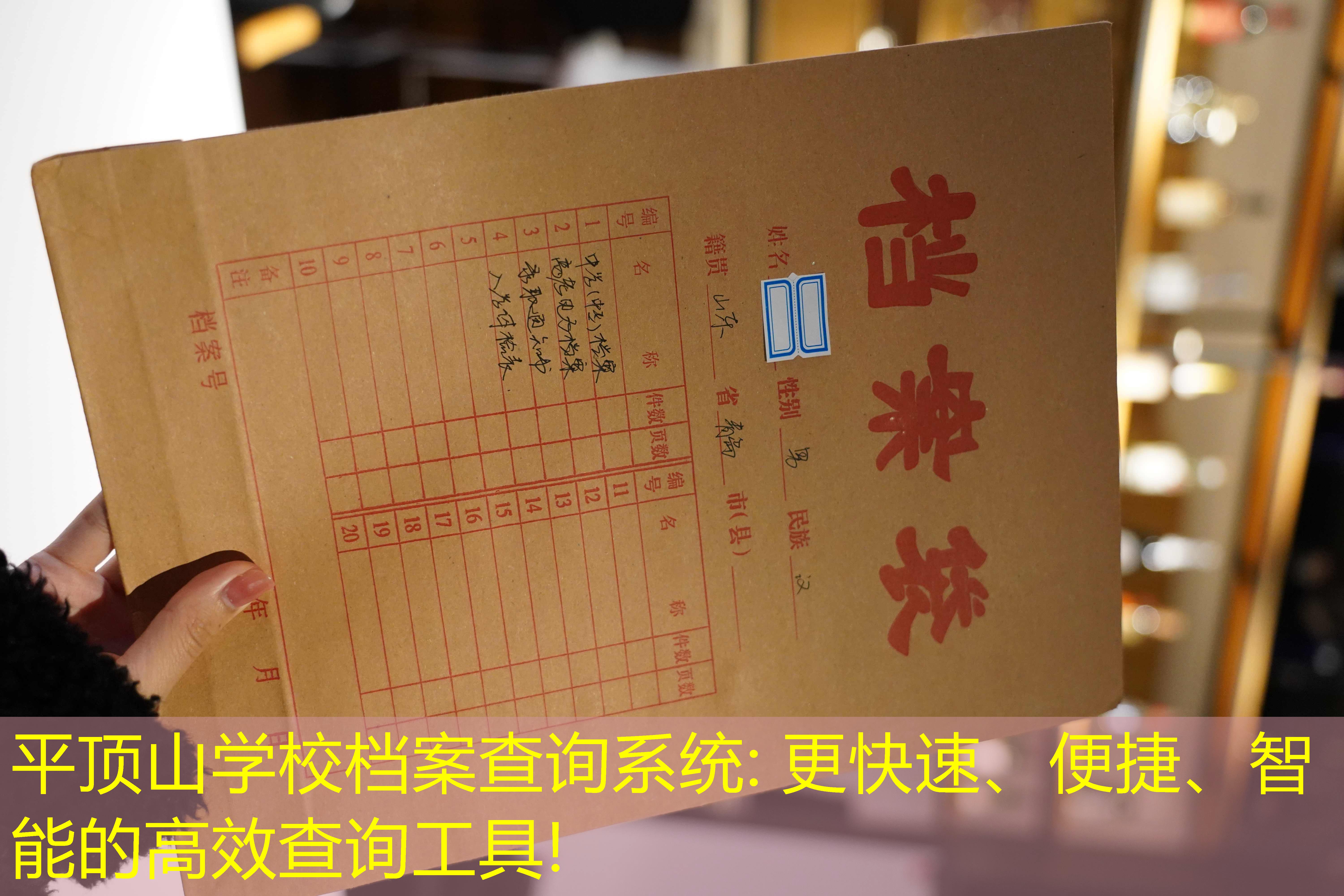 档案查询