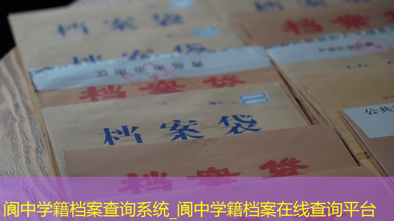 档案查询