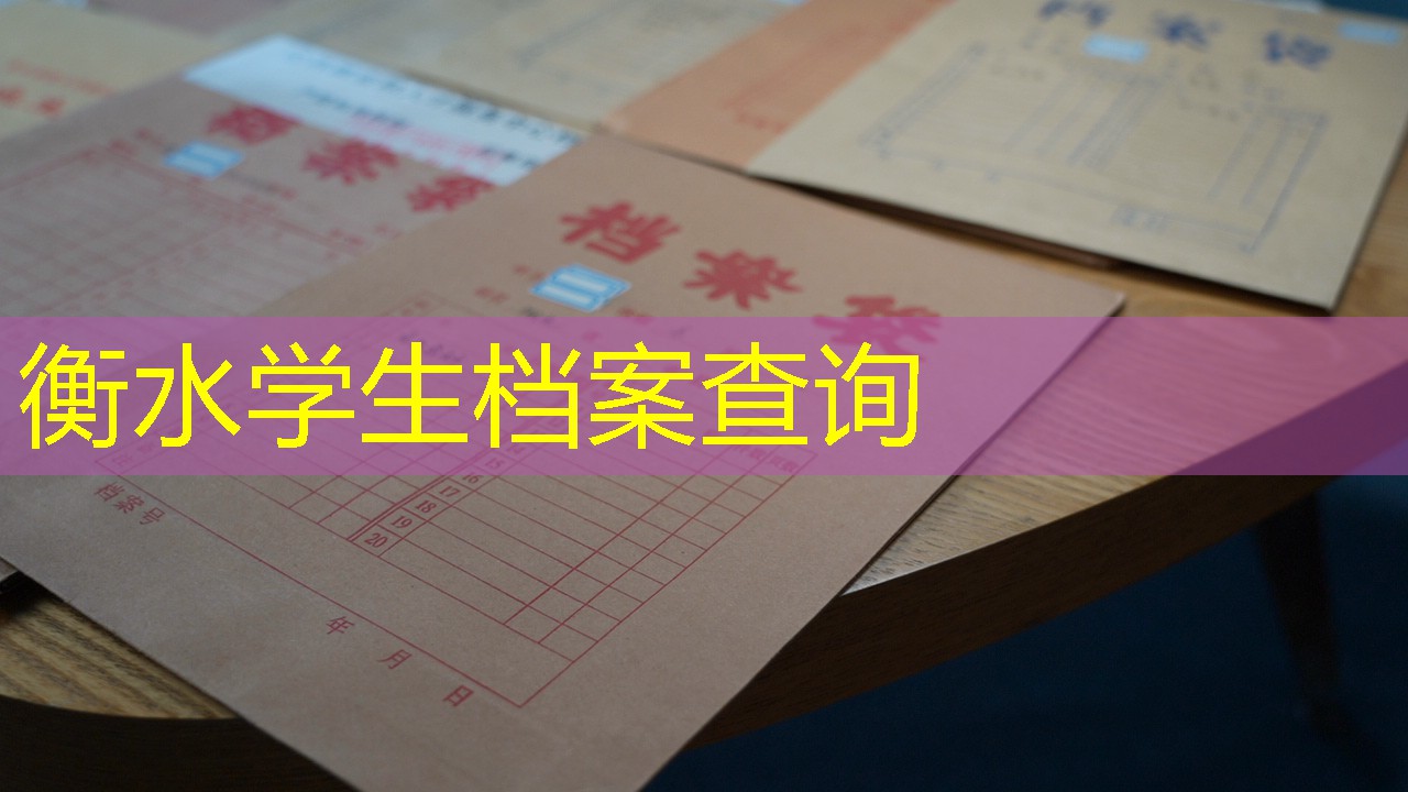 档案查询