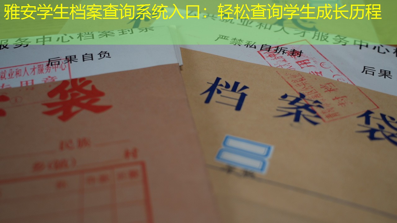 档案查询