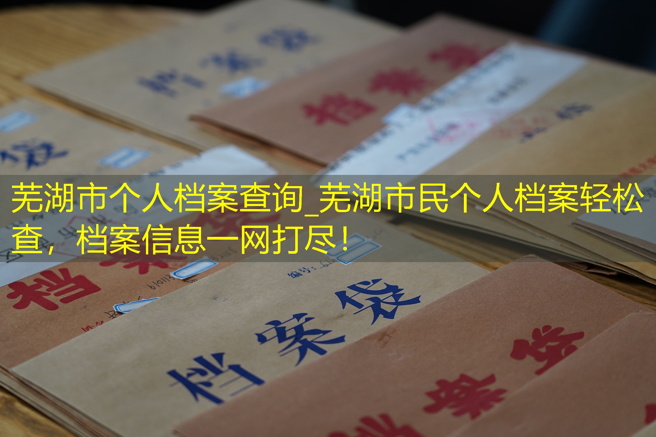 档案查询