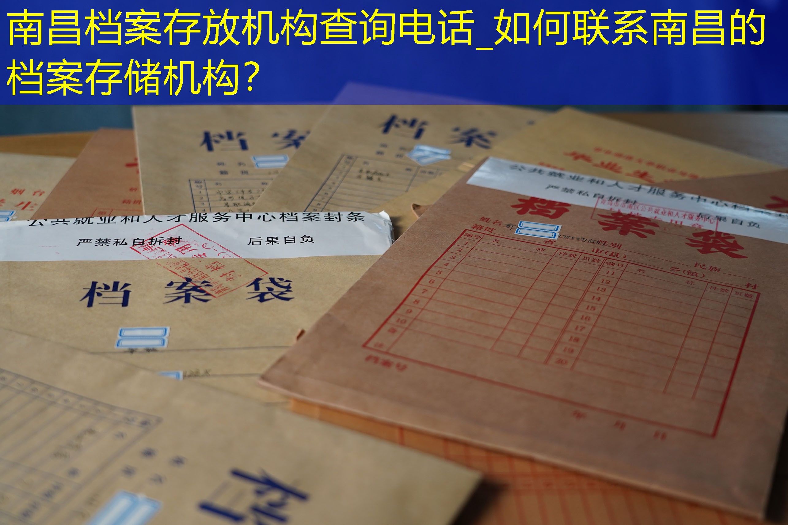档案查询
